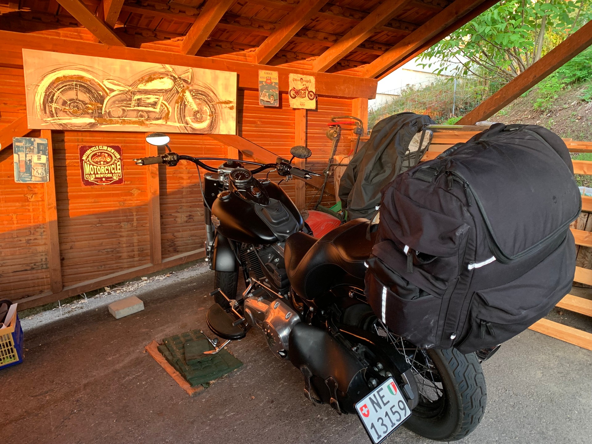 HARLEY-DAVIDSON FLS Softail Slim-image-9