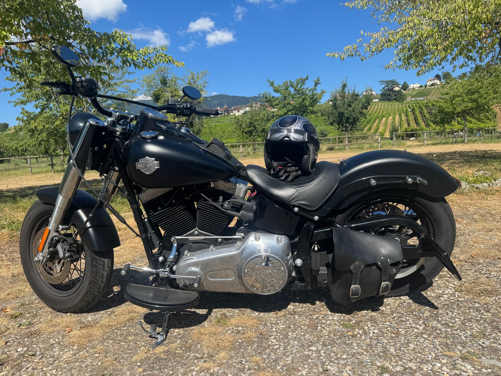 HARLEY-DAVIDSON FLS Softail Slim-image-1
