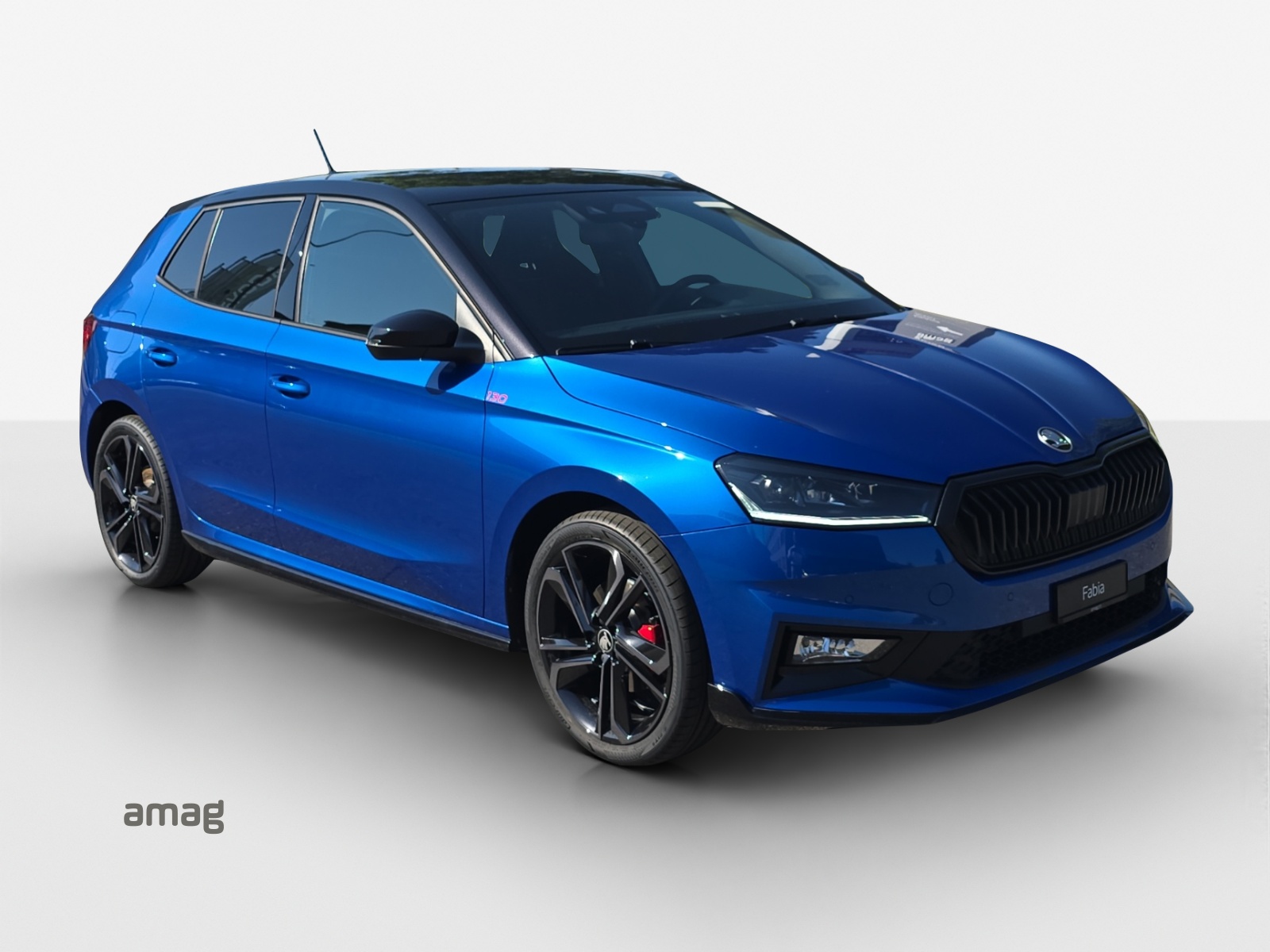 SKODA Fabia 1.5 TSI 130 DSG-image-5