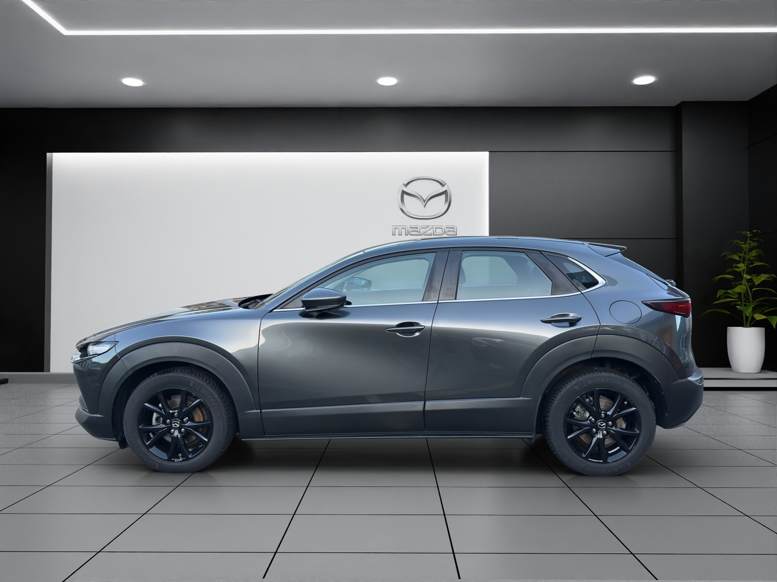 Image MAZDA CX-30 CX-30 X 180 Amb. Plus AWD