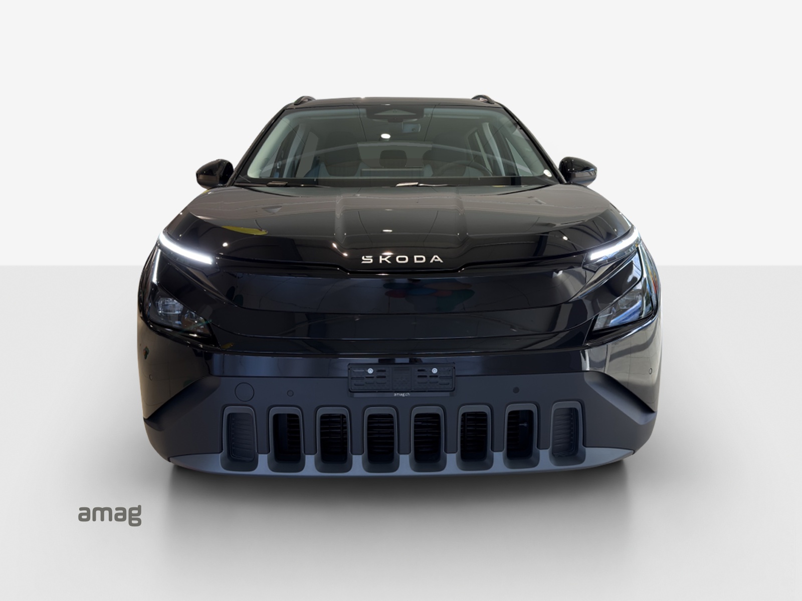 SKODA Epiq 55 Selection-image-6