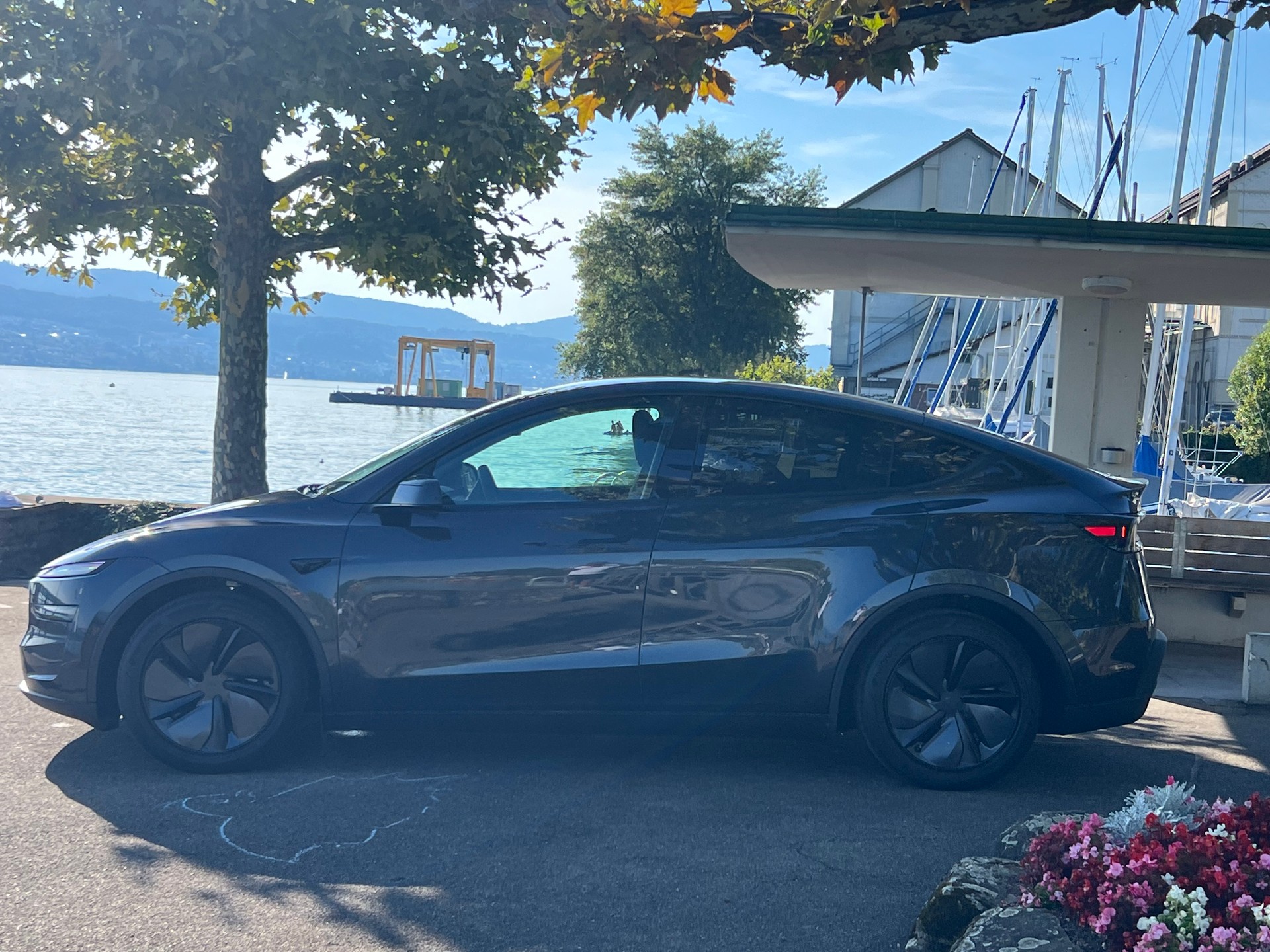 TESLA Long Range D-image-1