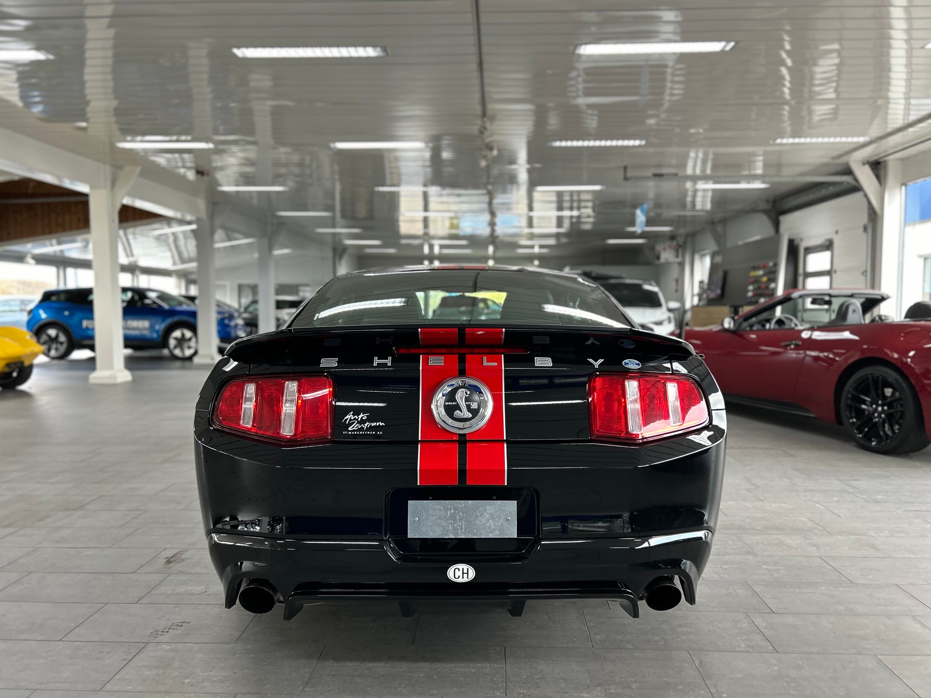 FORD SHELBY-image-4