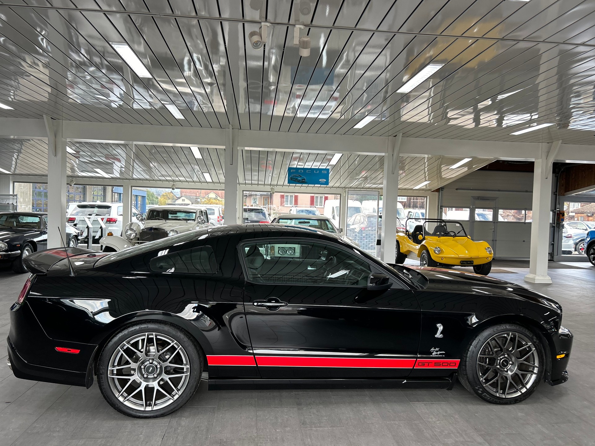 FORD SHELBY-image-6