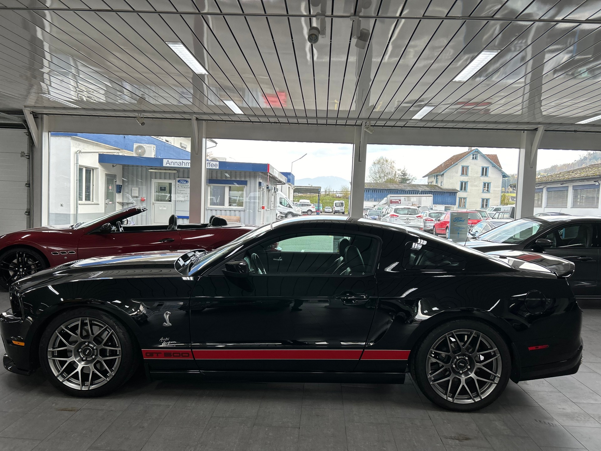 FORD SHELBY-image-2