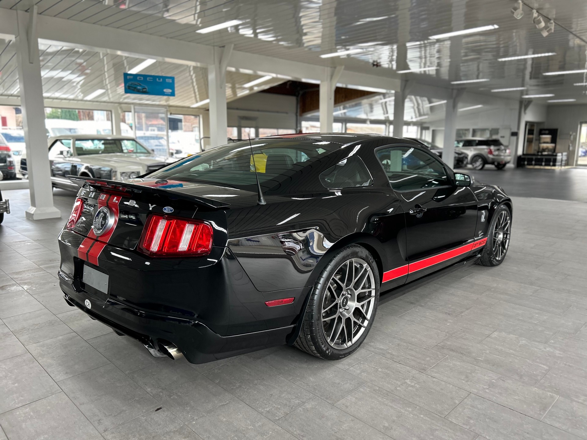 FORD SHELBY-image-5