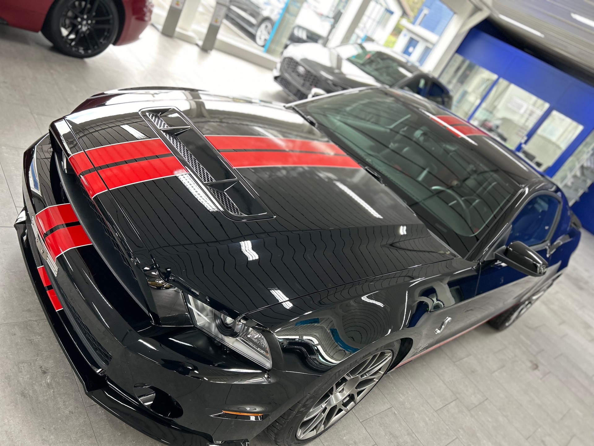 FORD SHELBY-image-8