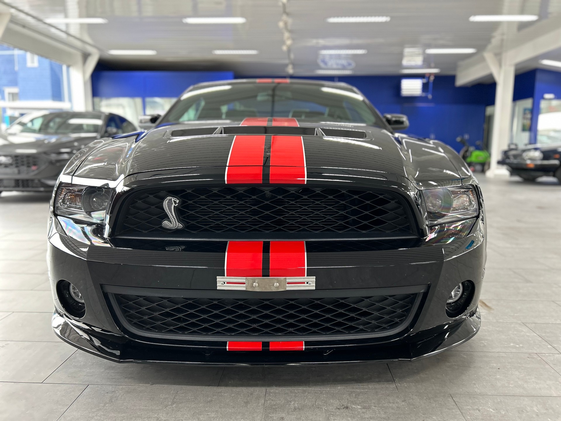 FORD SHELBY-image-0