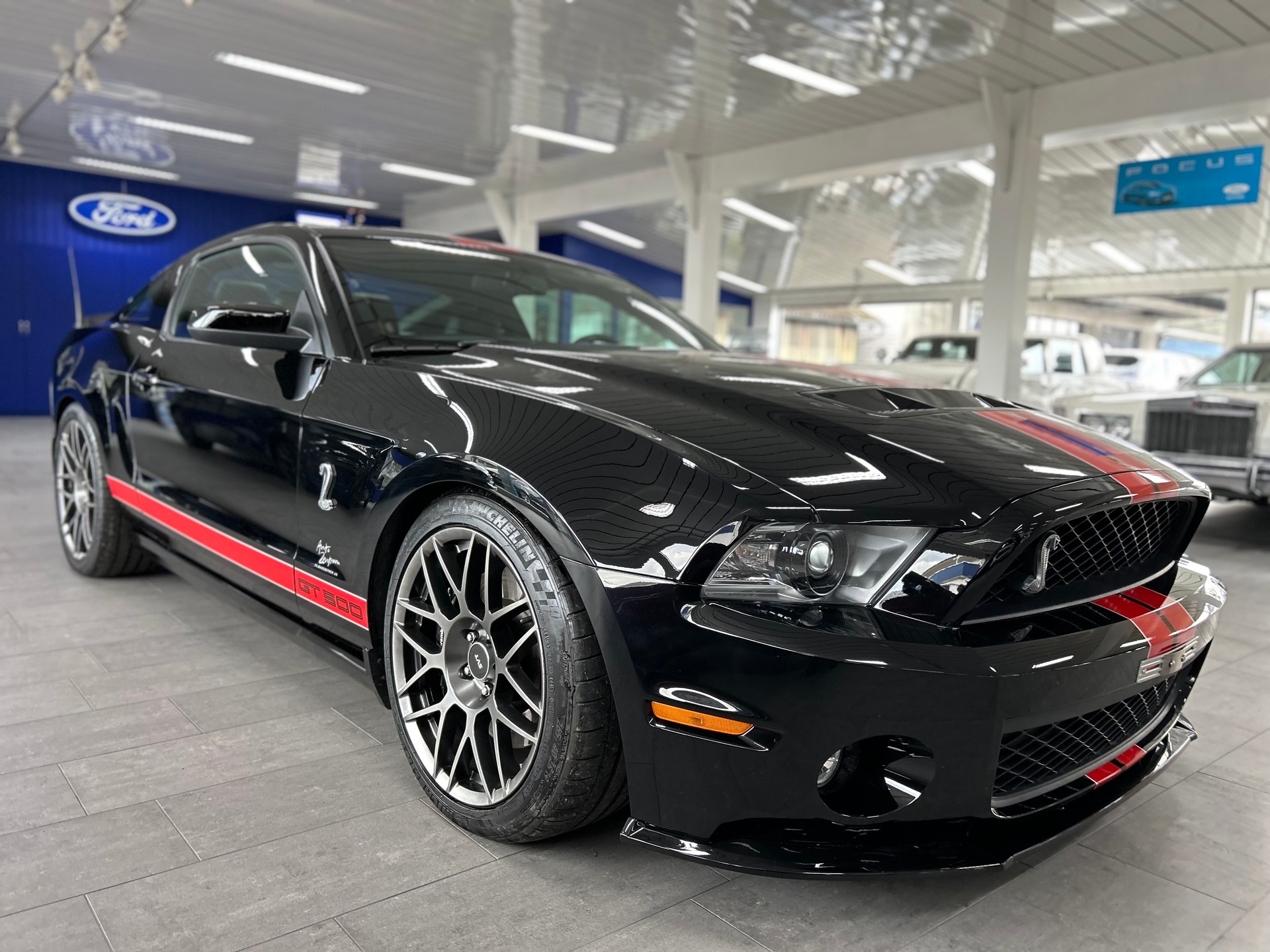 FORD SHELBY-image-7