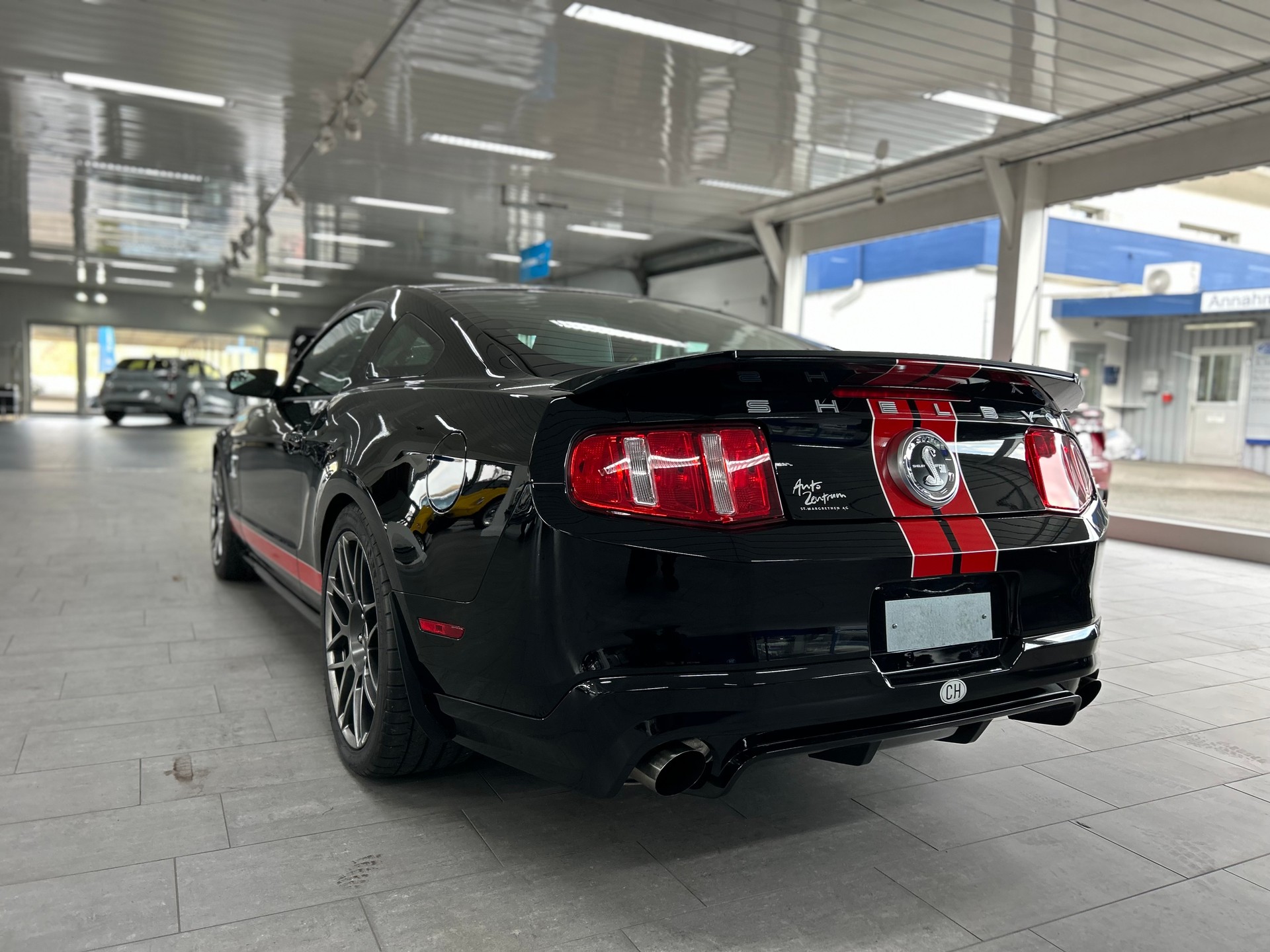 FORD SHELBY-image-3