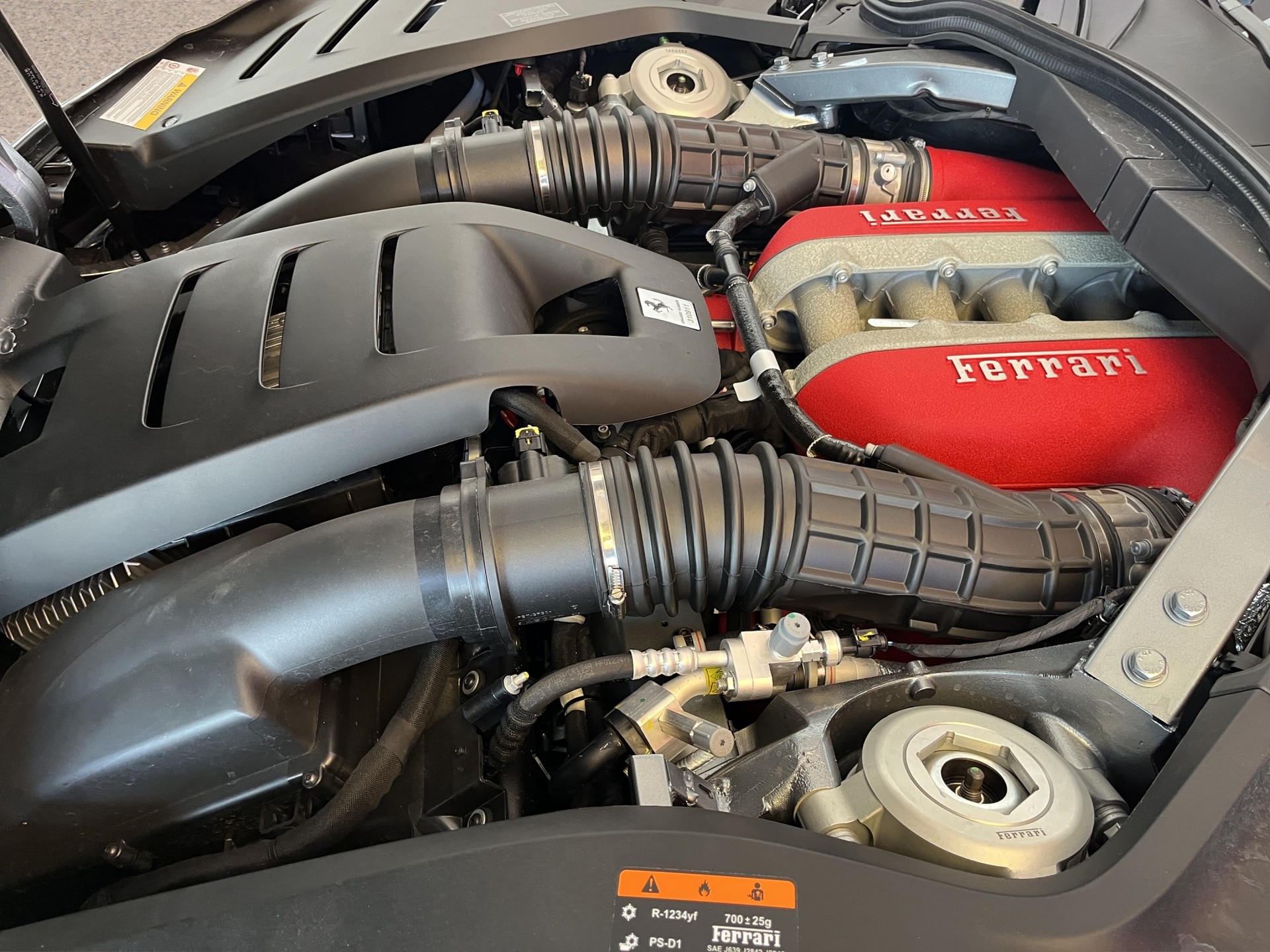 FERRARI PUROSANGUE-image-12