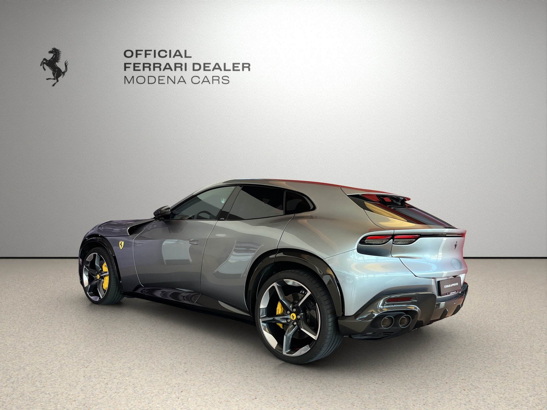 FERRARI PUROSANGUE-image-7