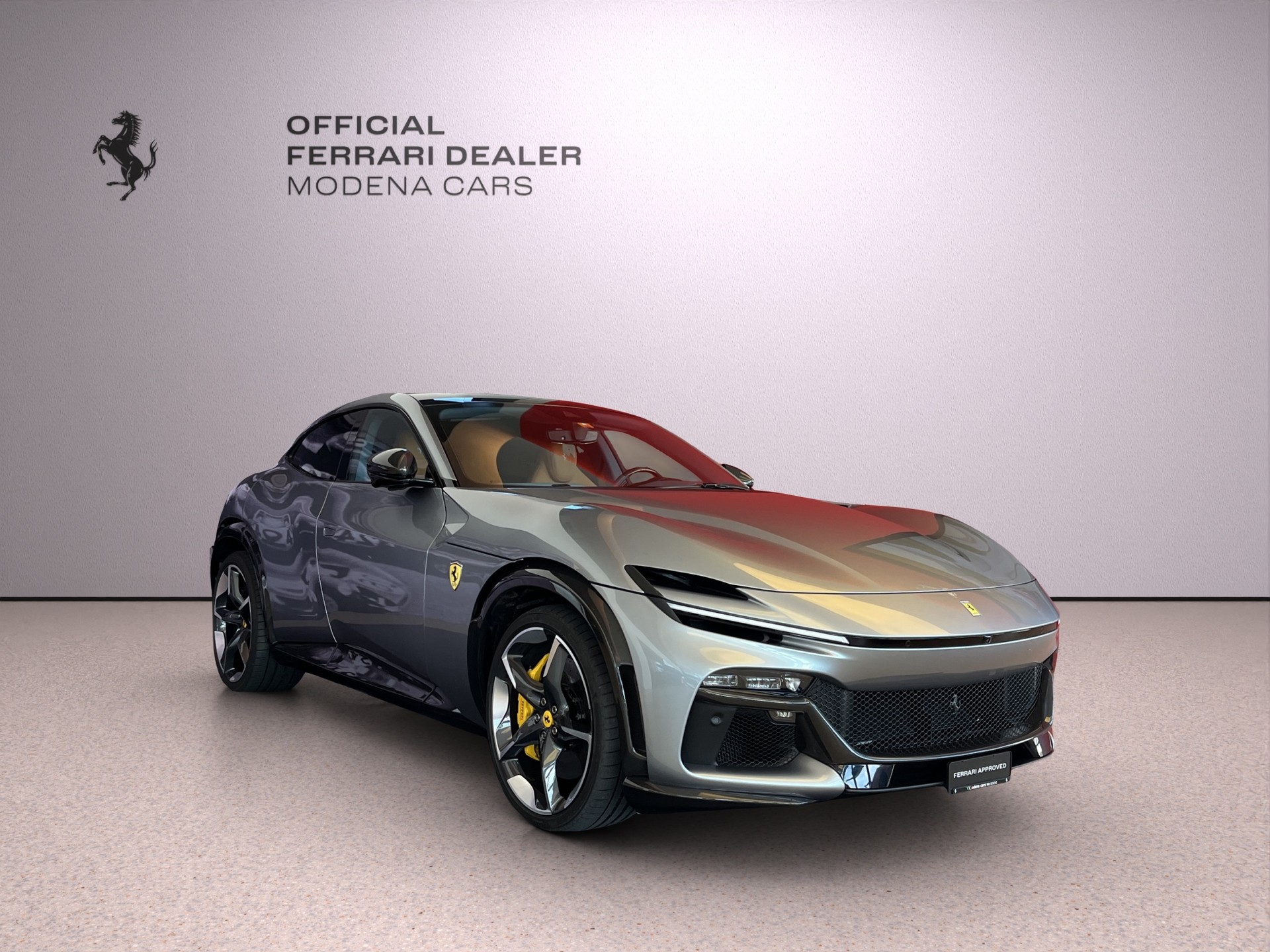 FERRARI PUROSANGUE-image-11