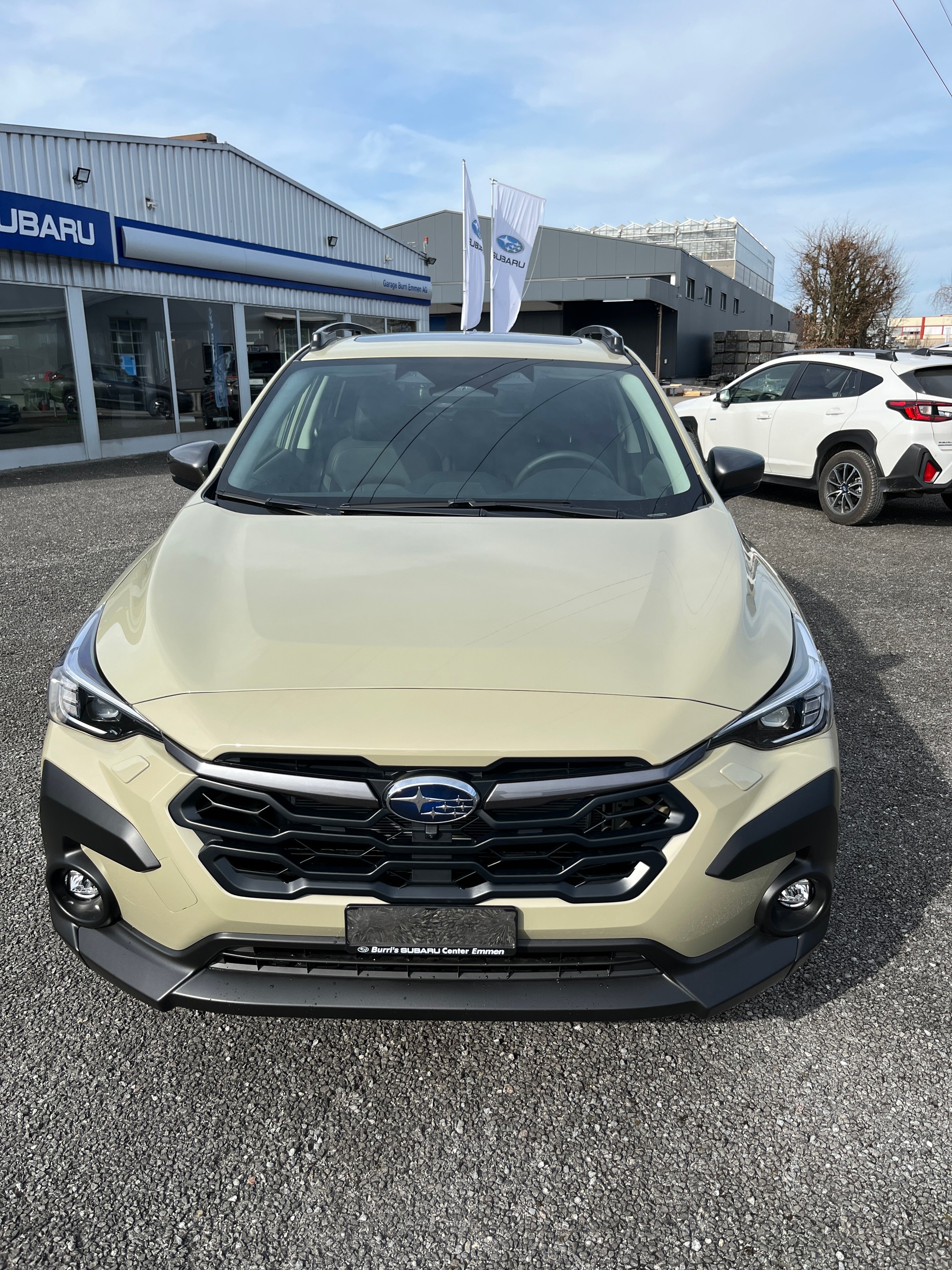 SUBARU Crosstrek 2.0 e-Boxer Luxury AWD Lineartronic-image-17