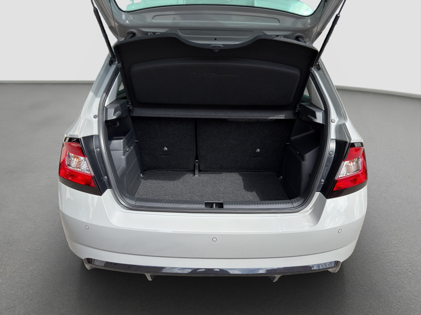 SKODA Fabia 1.0 TSI Monte Carlo DSG-image-9