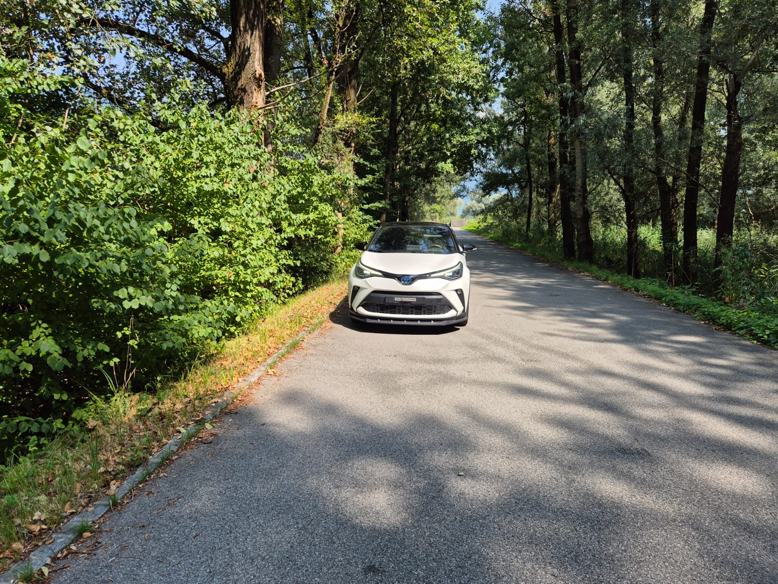 TOYOTA 2.0 VVTi HSD Move-image-5
