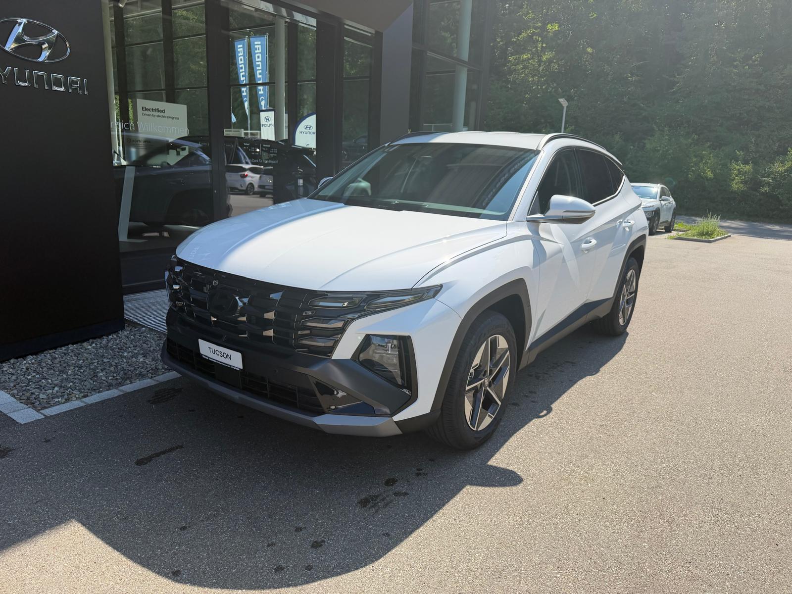HYUNDAI Tucson 1.6 TGDI HEV Amplia 4WD-image-1