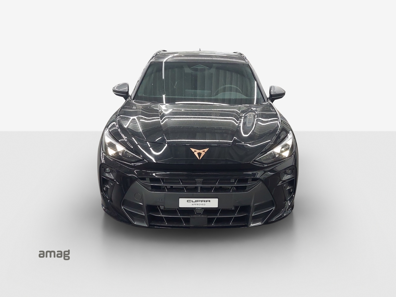 CUPRA Terramar 1.5 eHybrid DSG VZ-image-14