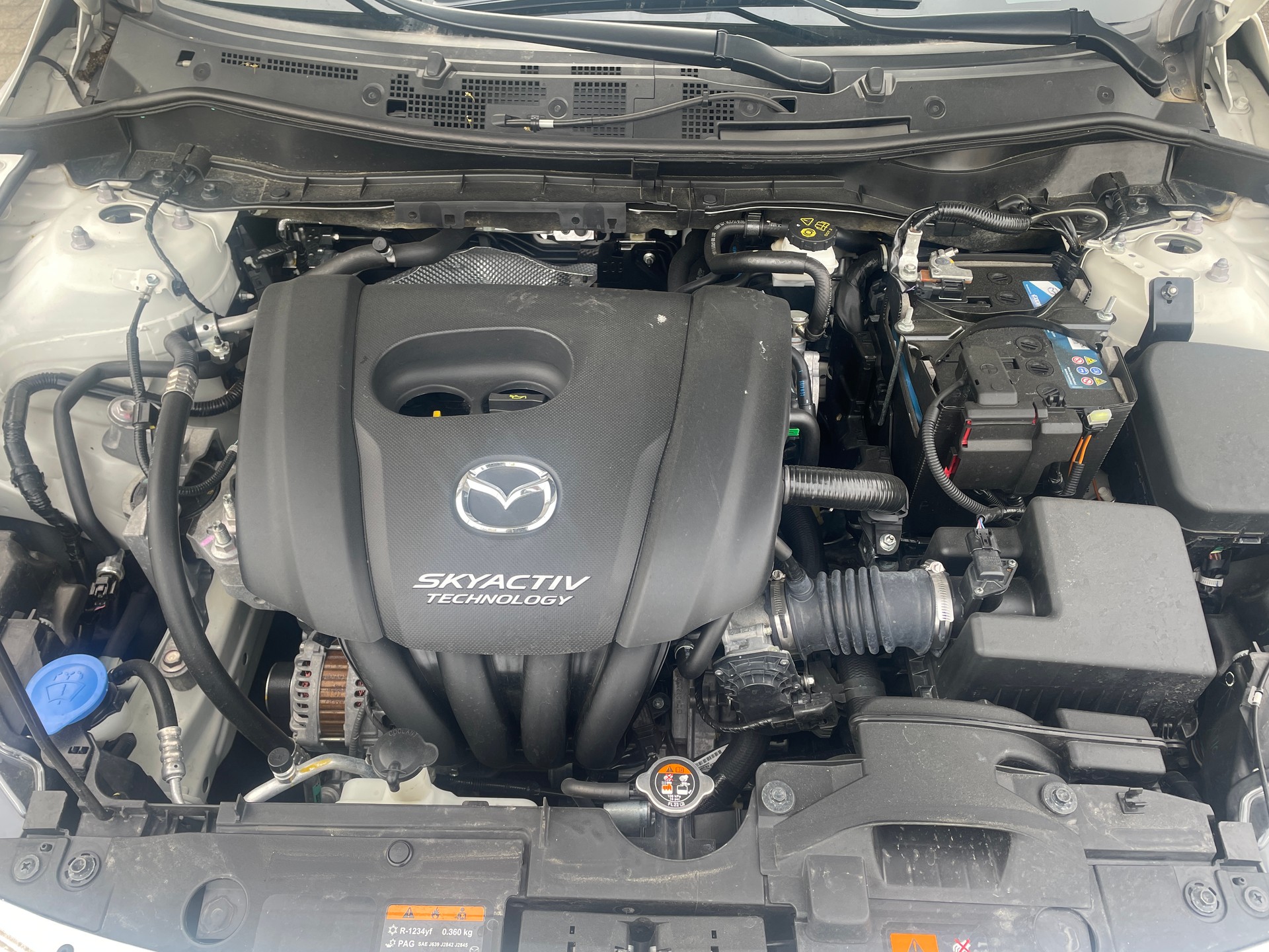MAZDA 2 1.5i 16V Skyactiv-G Ambition Plus mit Anhängekupplung-image-12