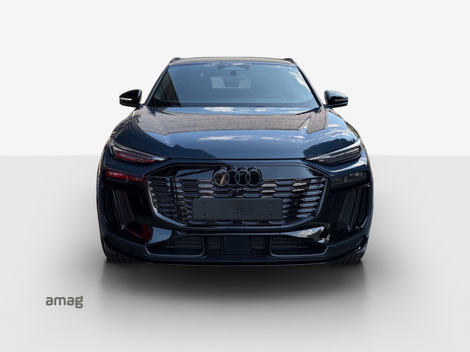 AUDI Q6 Sportback e-tron quattro-image-5