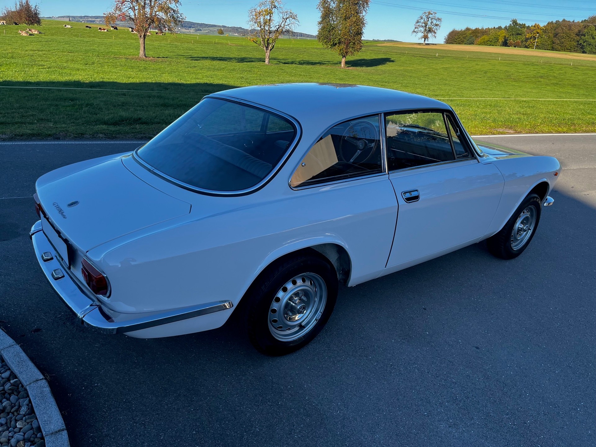ALFA ROMEO Junior-image-2