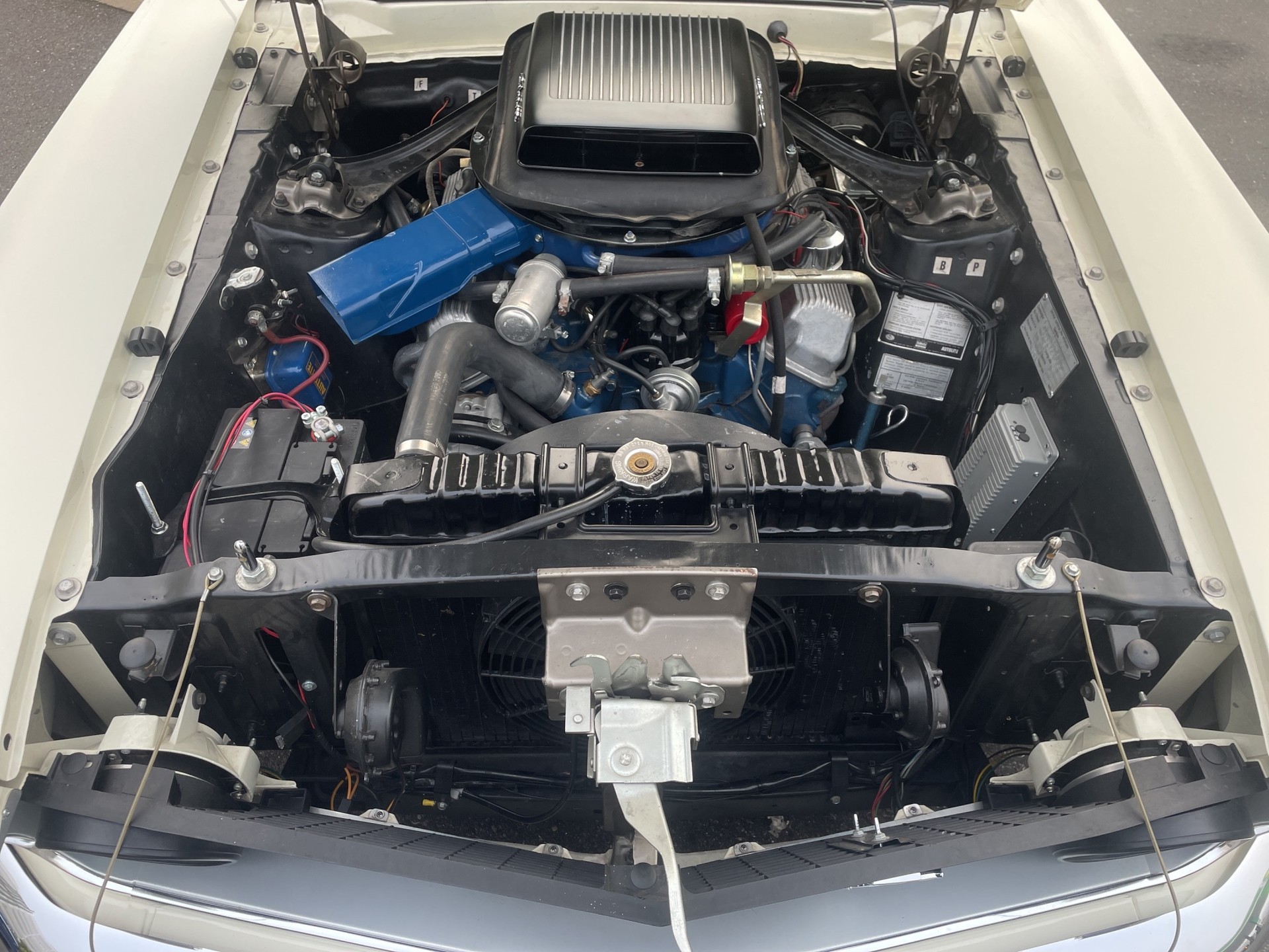 FORD MUSTANG Mach 1 - Cobra Jet 7.0 V8 335 ch.-image-27