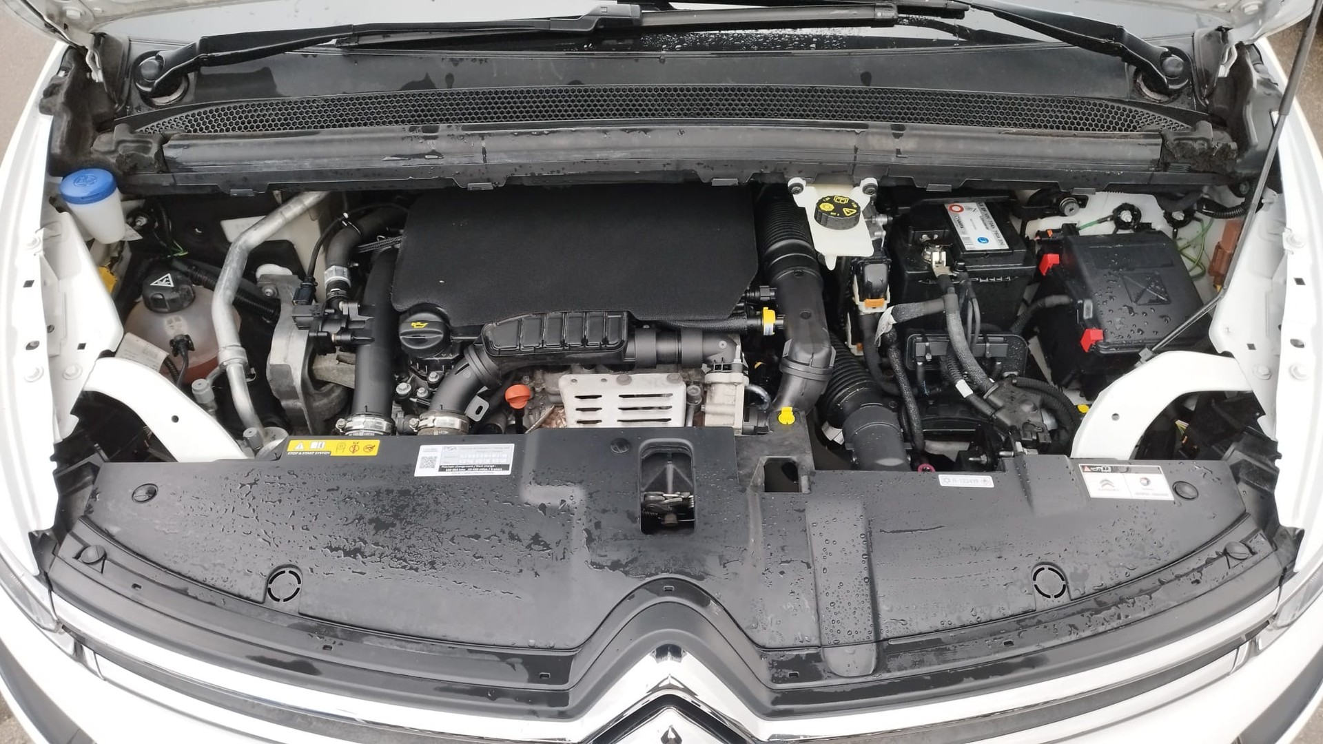 CITROEN C4 Picasso 1.2 Pure Tech Feel EAT6-image-12