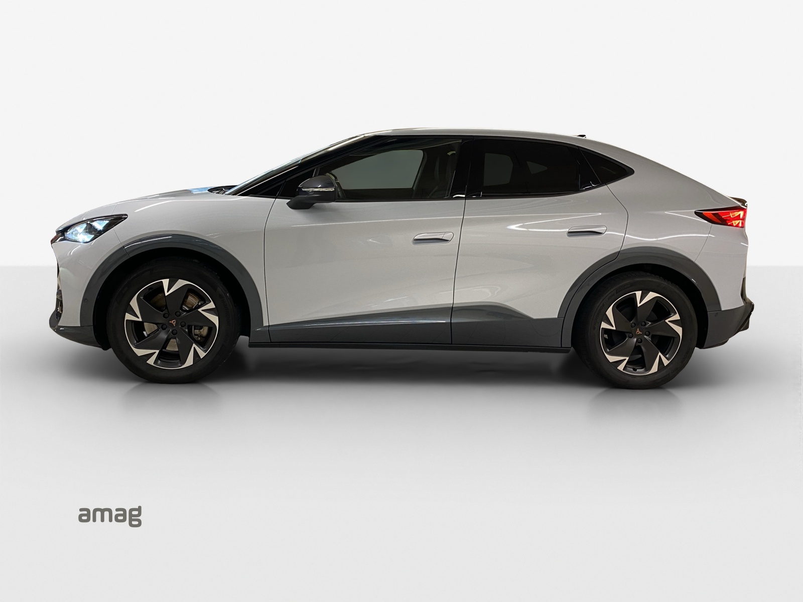 CUPRA Tavascan Type 4 77 kWh Endurance Edge-image-1