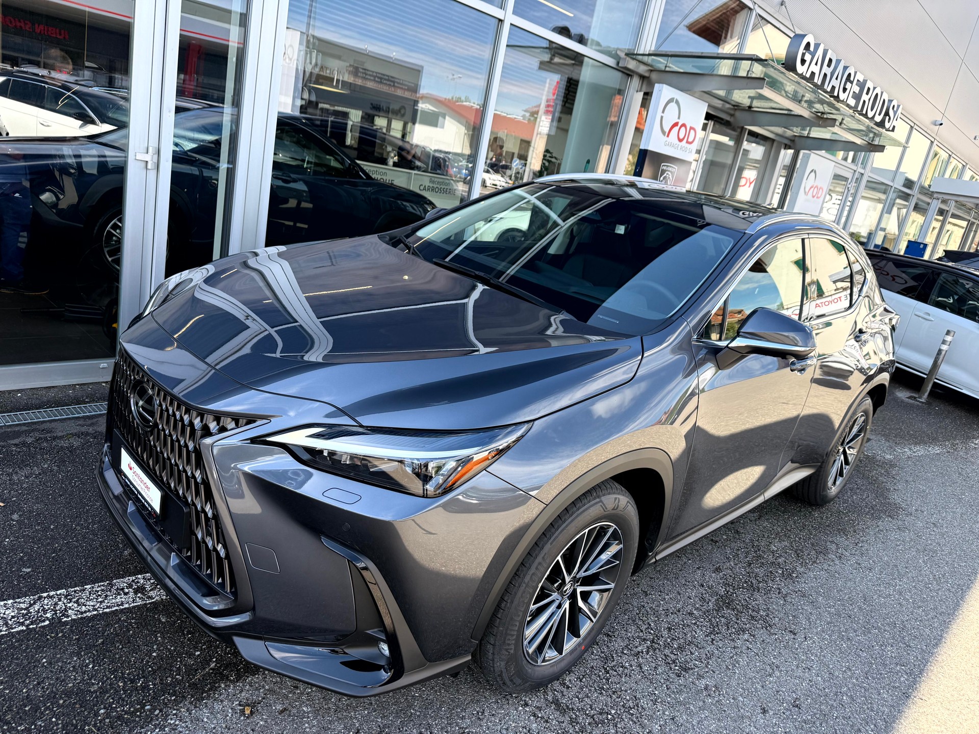 LEXUS NX 450h+ E-FOUR Comfort-showroom-element-3