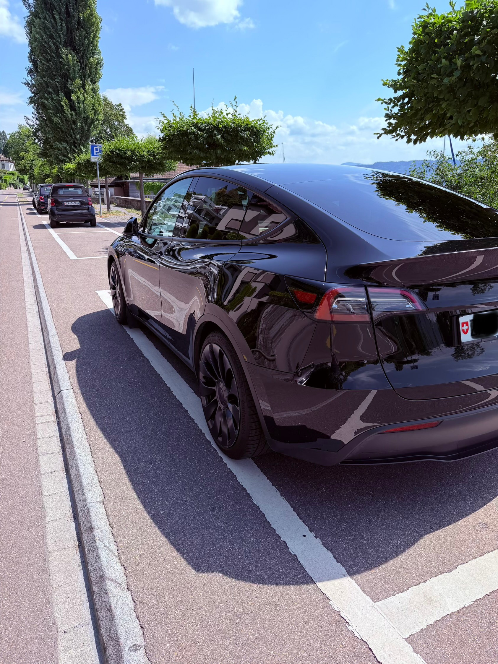TESLA Performance D-image-5