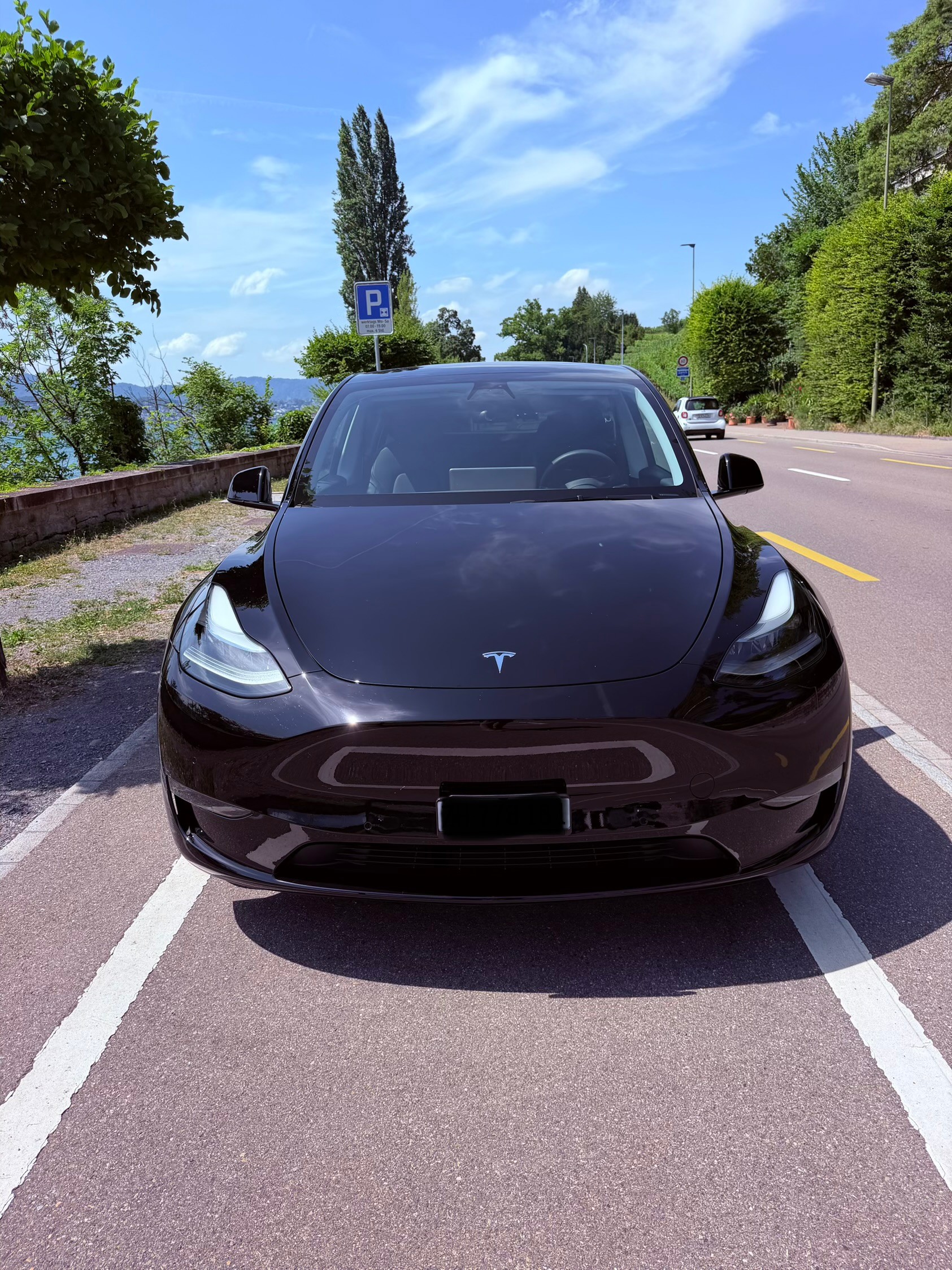TESLA Performance D-image-1