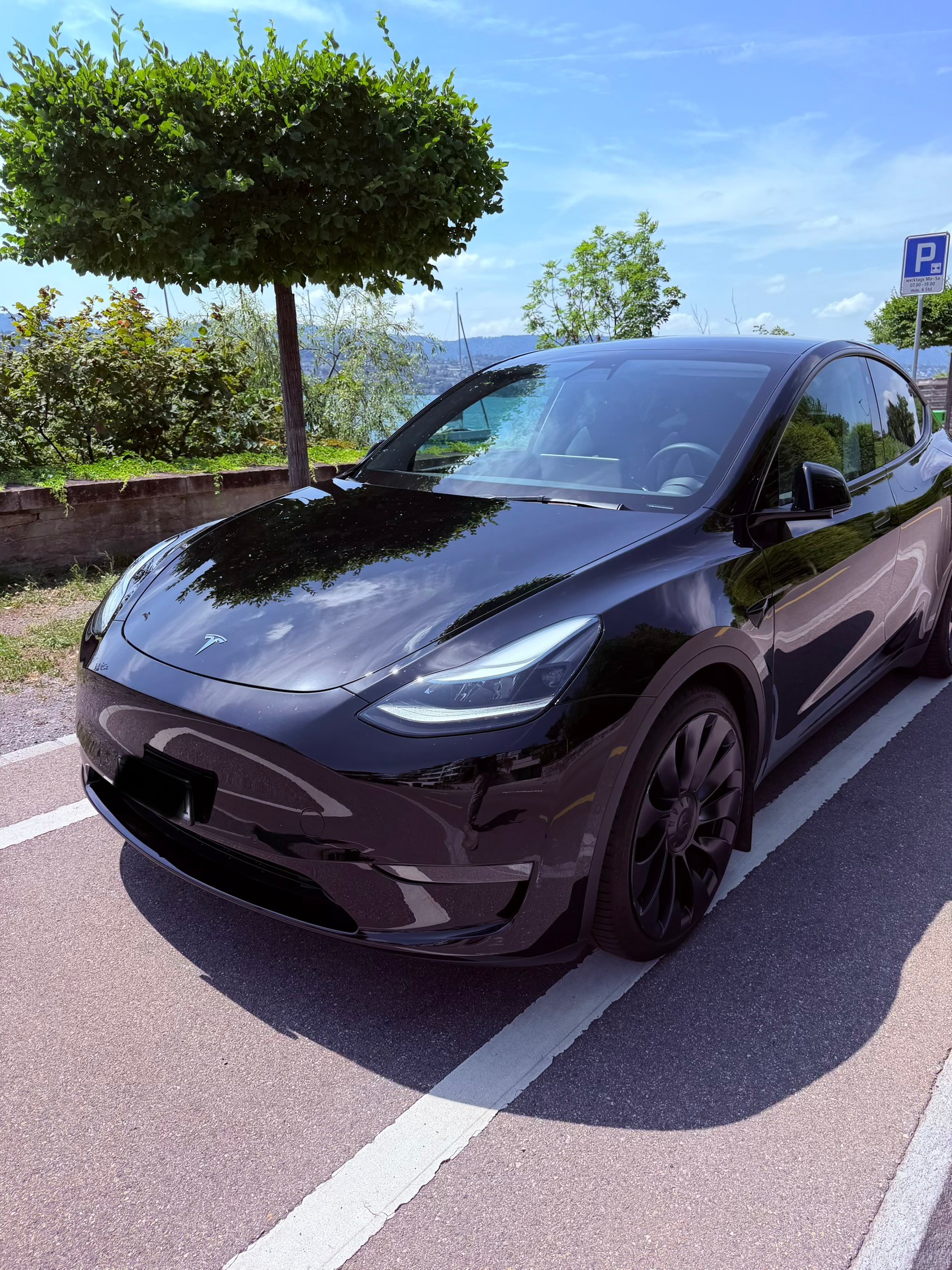 TESLA Performance D-image-2