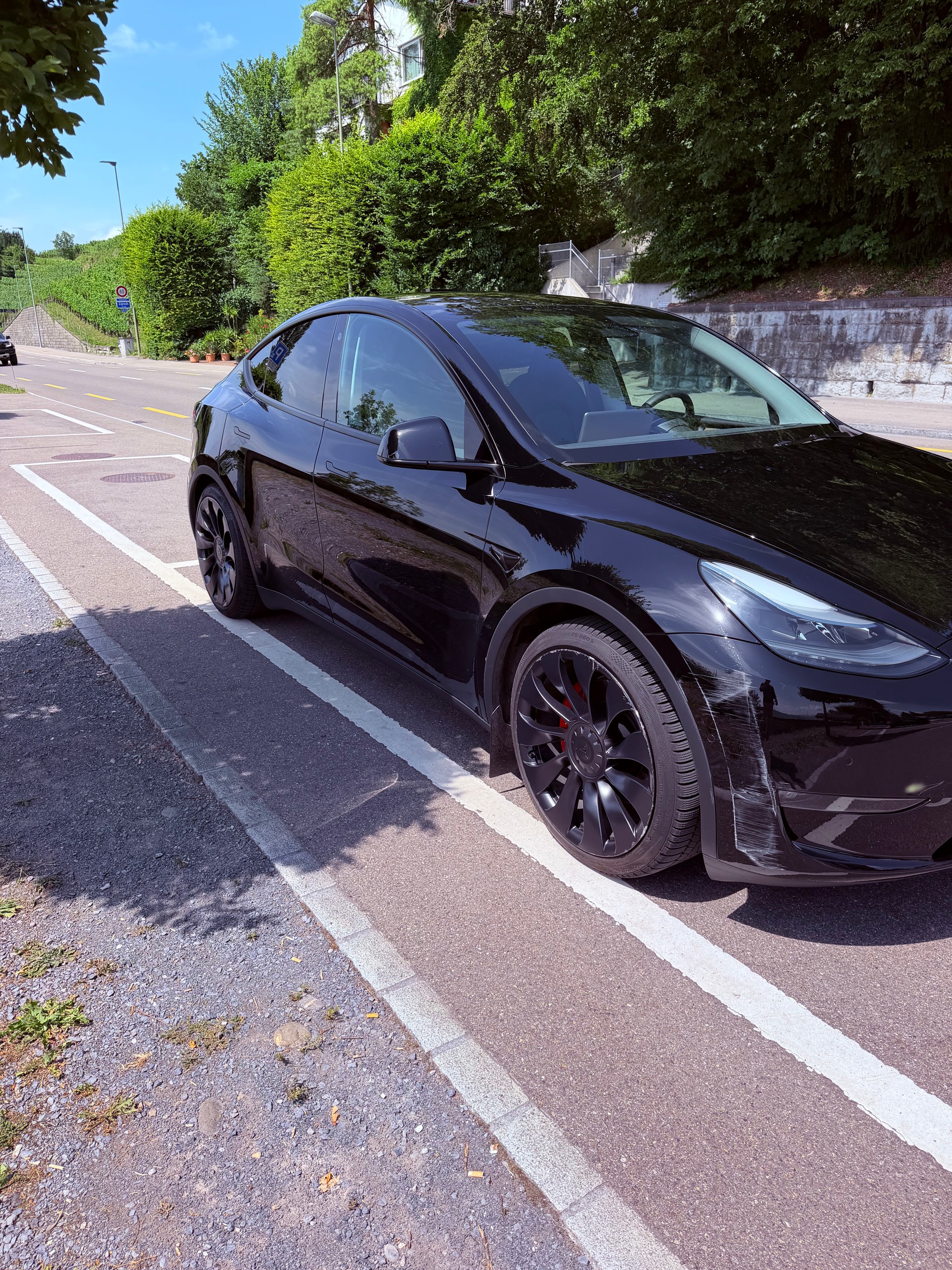 TESLA Performance D-image-3