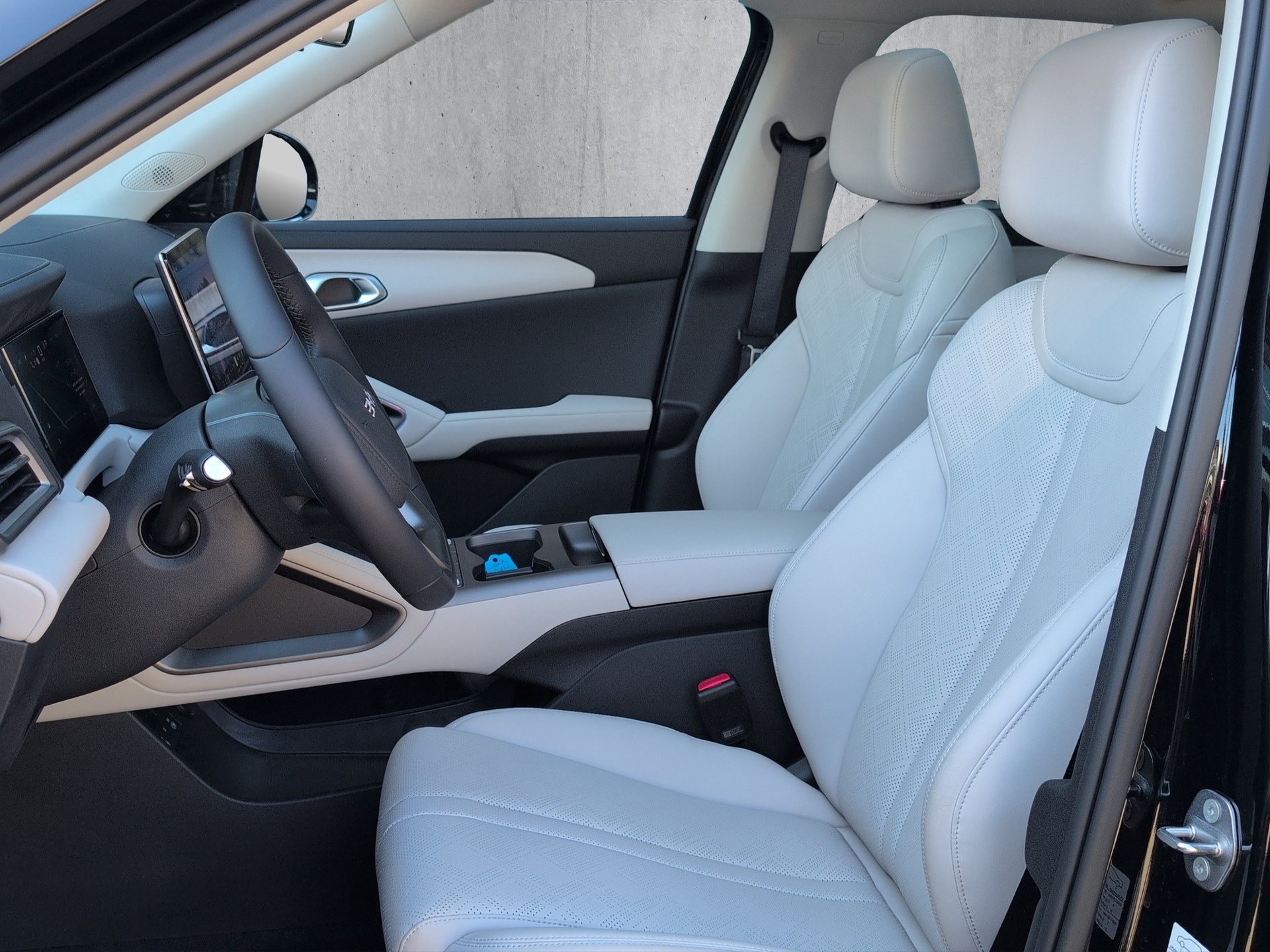 BYD Atto 2 DM-i Boost-image-7