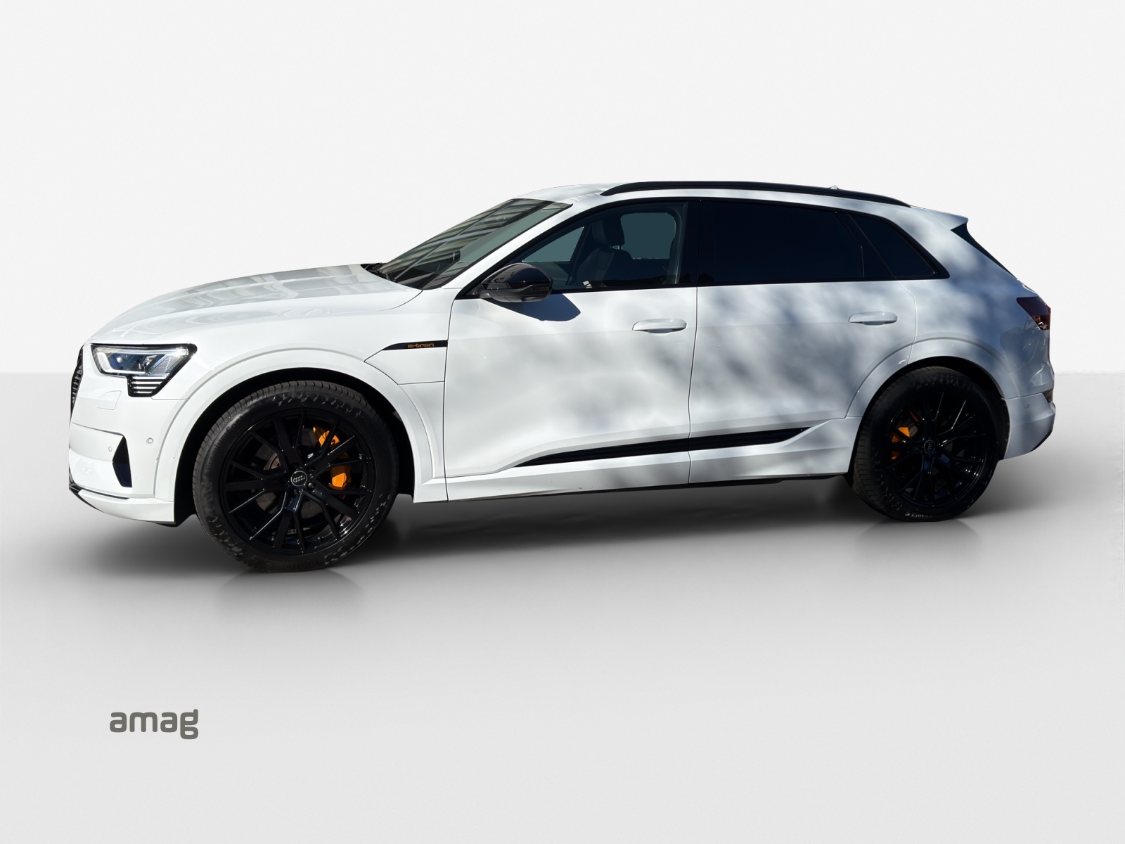 AUDI e-tron 55 Advanced Black Edition quattro-image-1