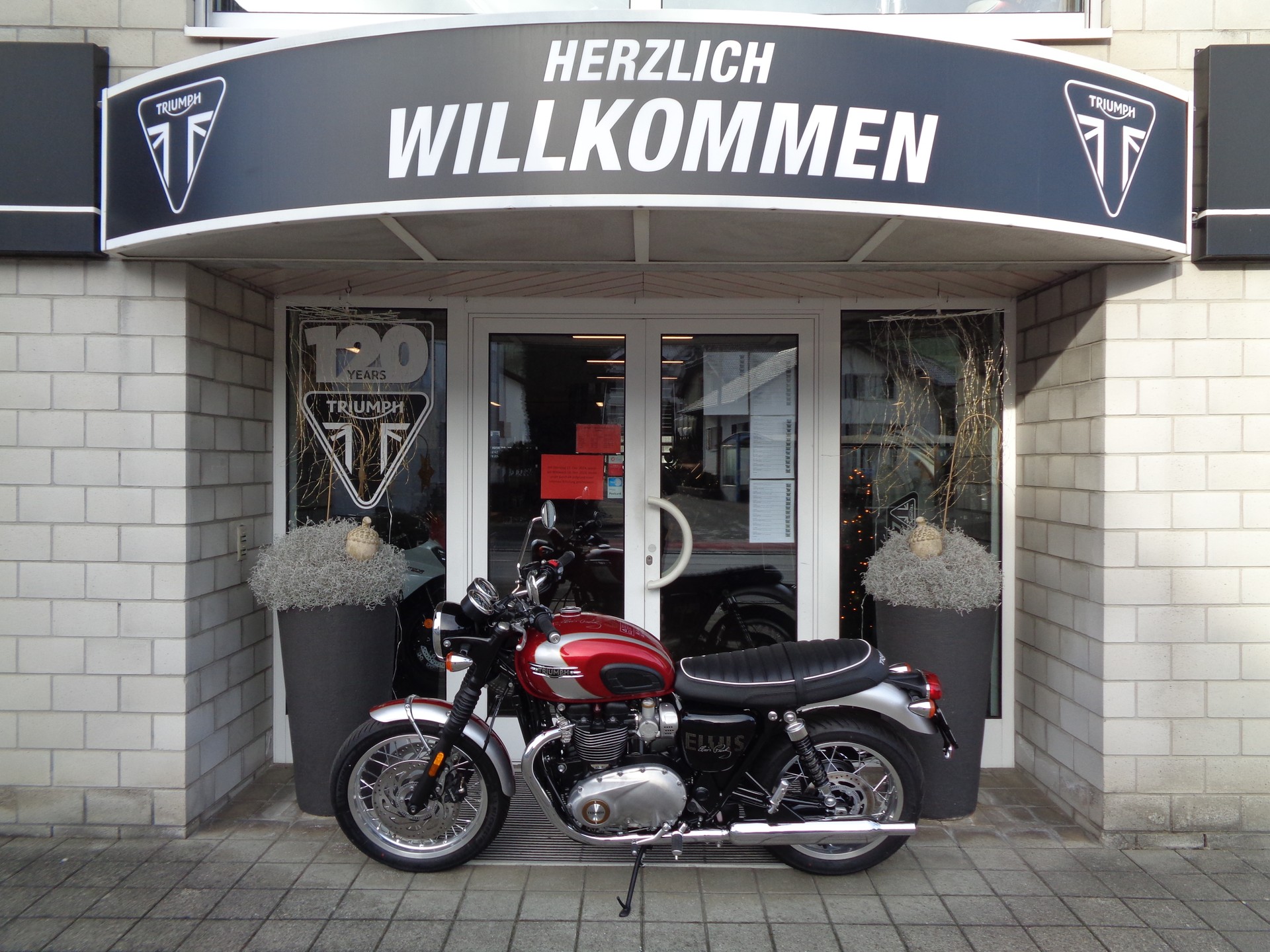 TRIUMPH Bonneville T120 Elvis Edition-image-4