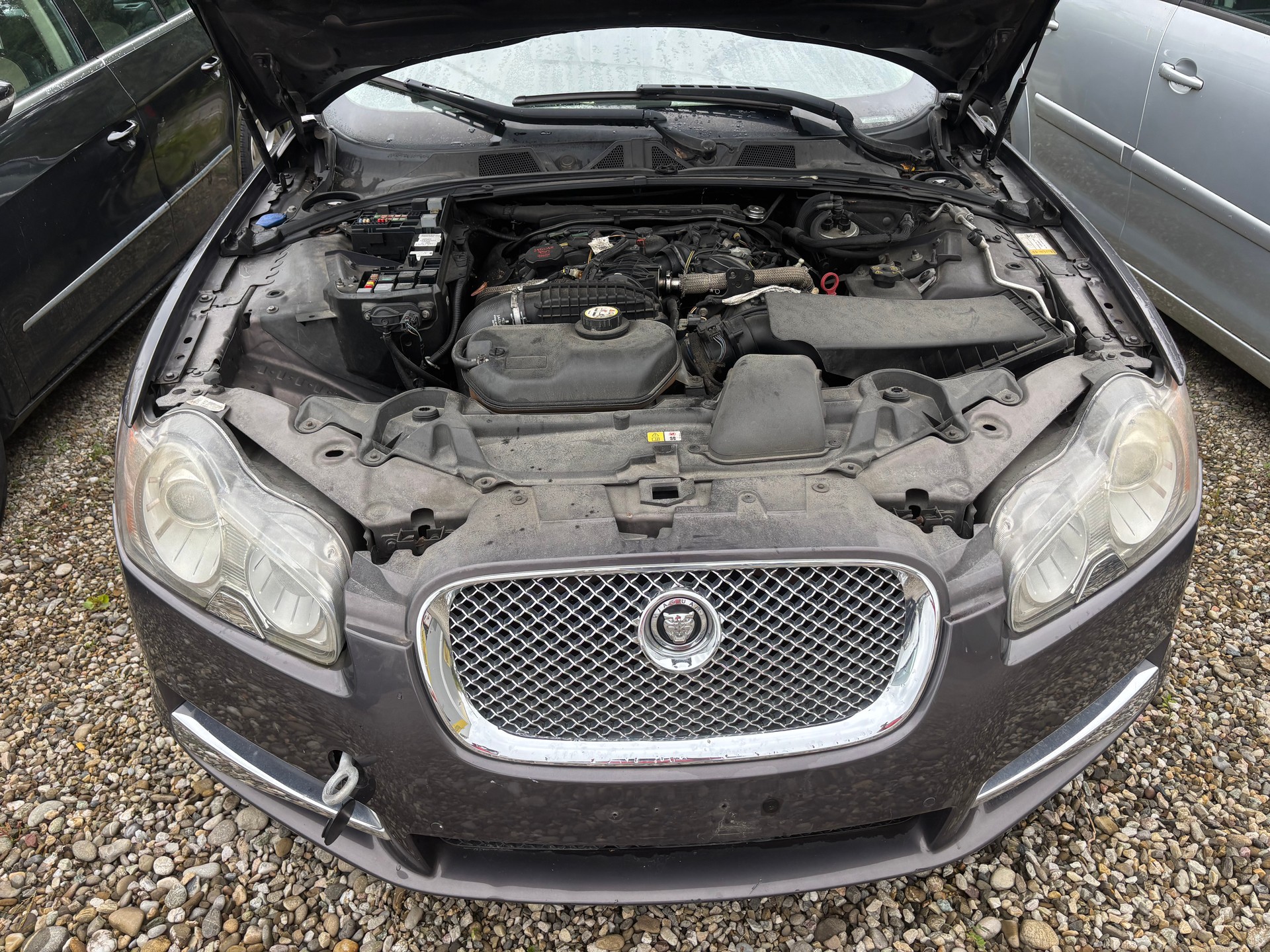 JAGUAR XF 2.7d V6 Premium Luxury-image-11