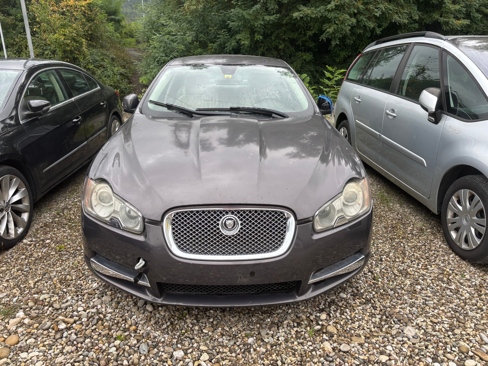 JAGUAR XF 2.7d V6 Premium Luxury-image-4