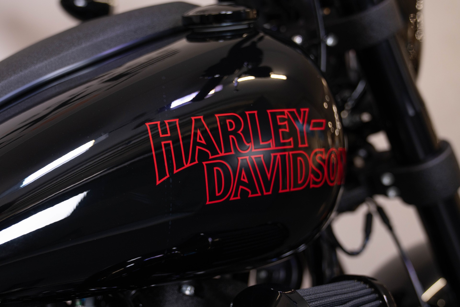 HARLEY-DAVIDSON FXLRS Low Rider S 117-image-7