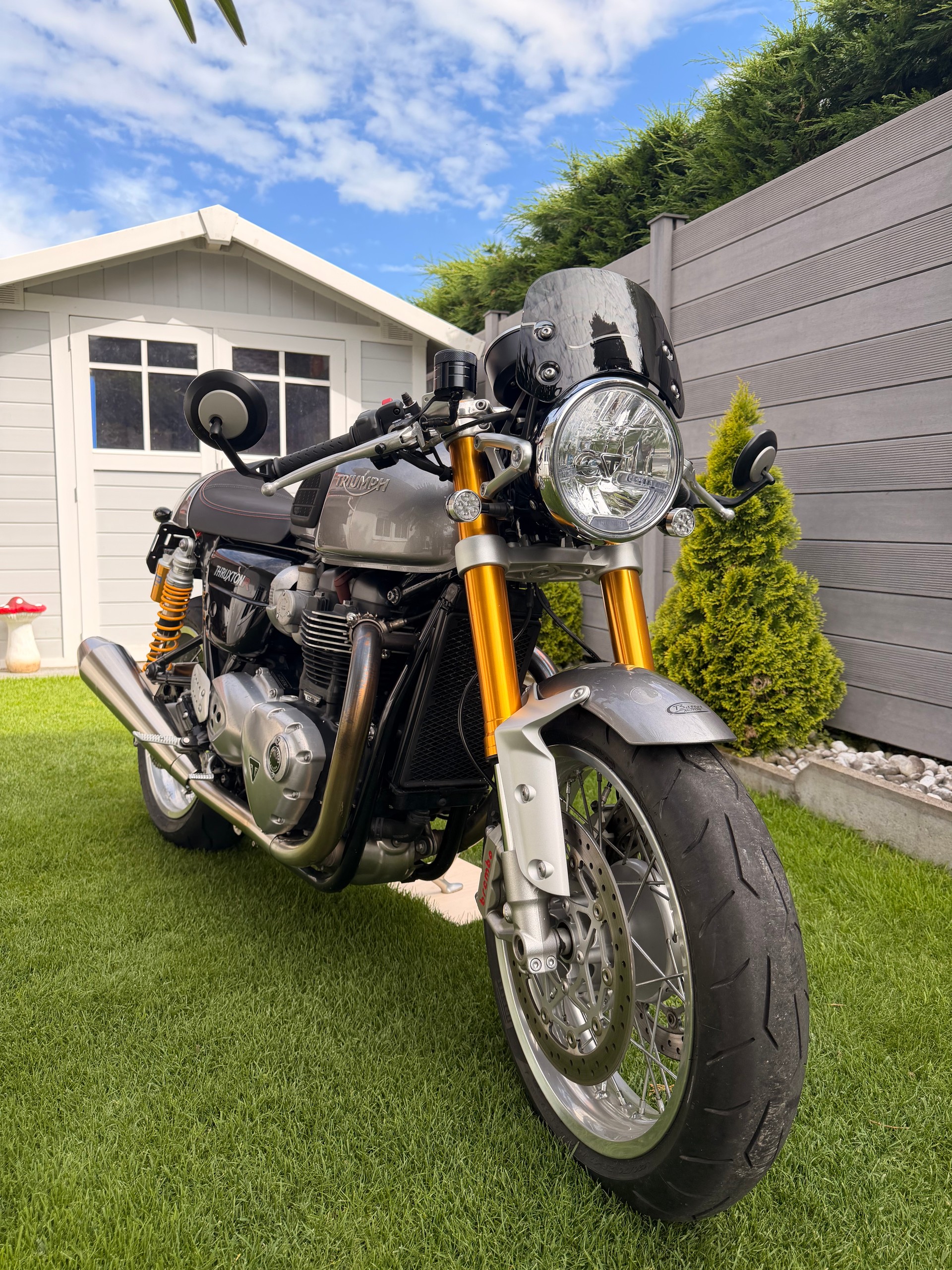 TRIUMPH Thruxton R-image-5