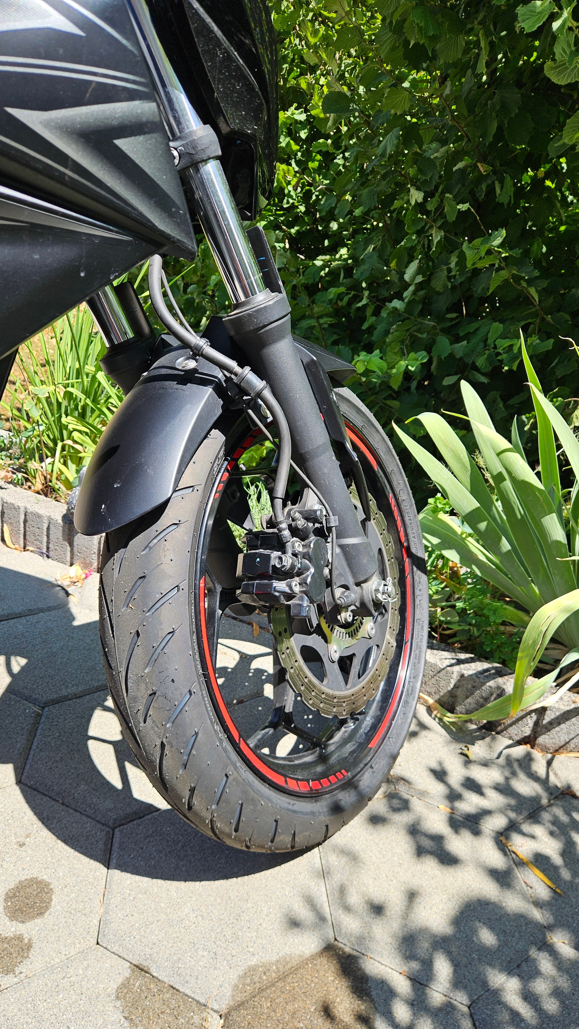 KAWASAKI Z 300 ABS-image-4