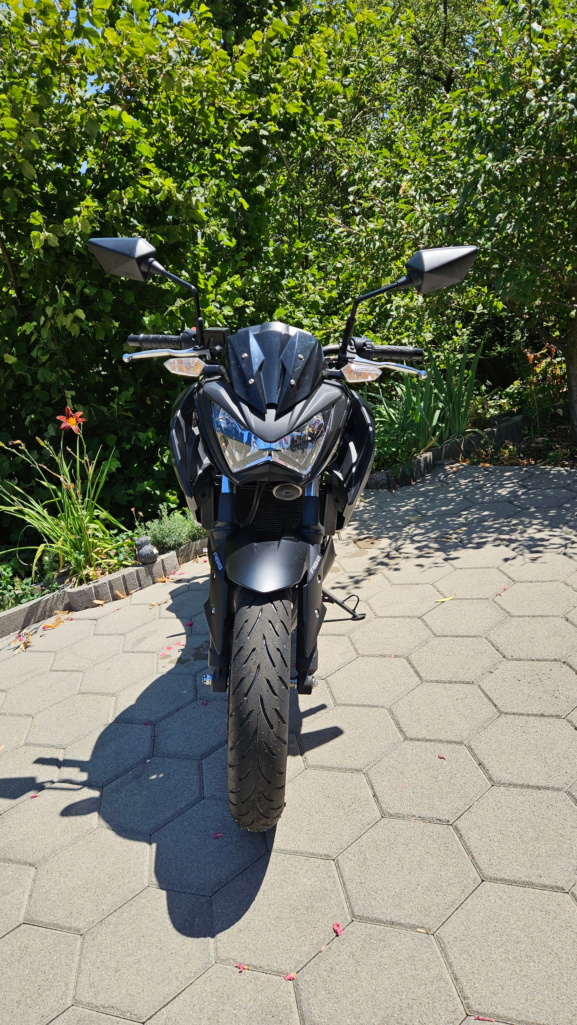 KAWASAKI Z 300 ABS-image-2