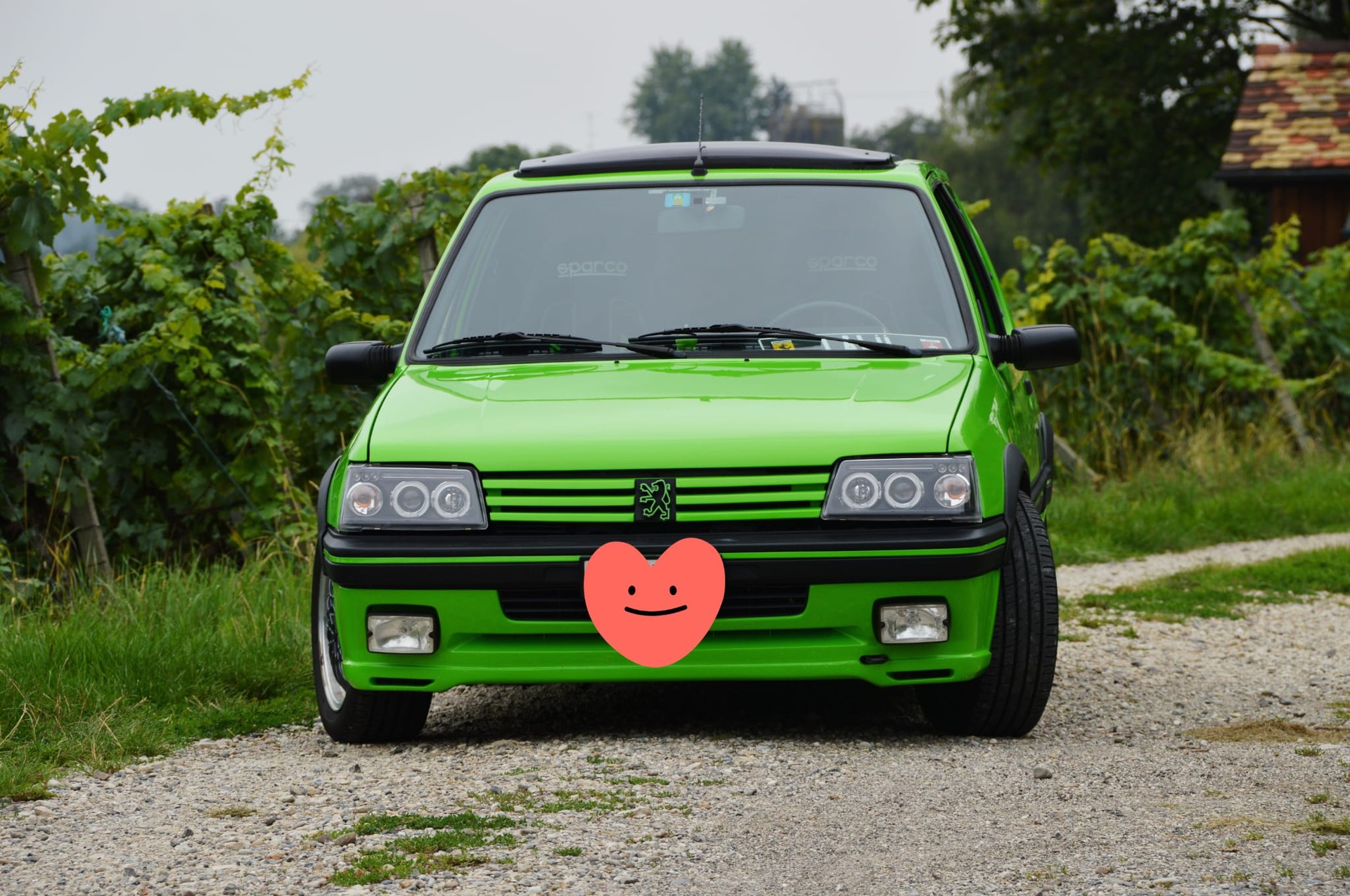 PEUGEOT 1.9 GTi-image-1
