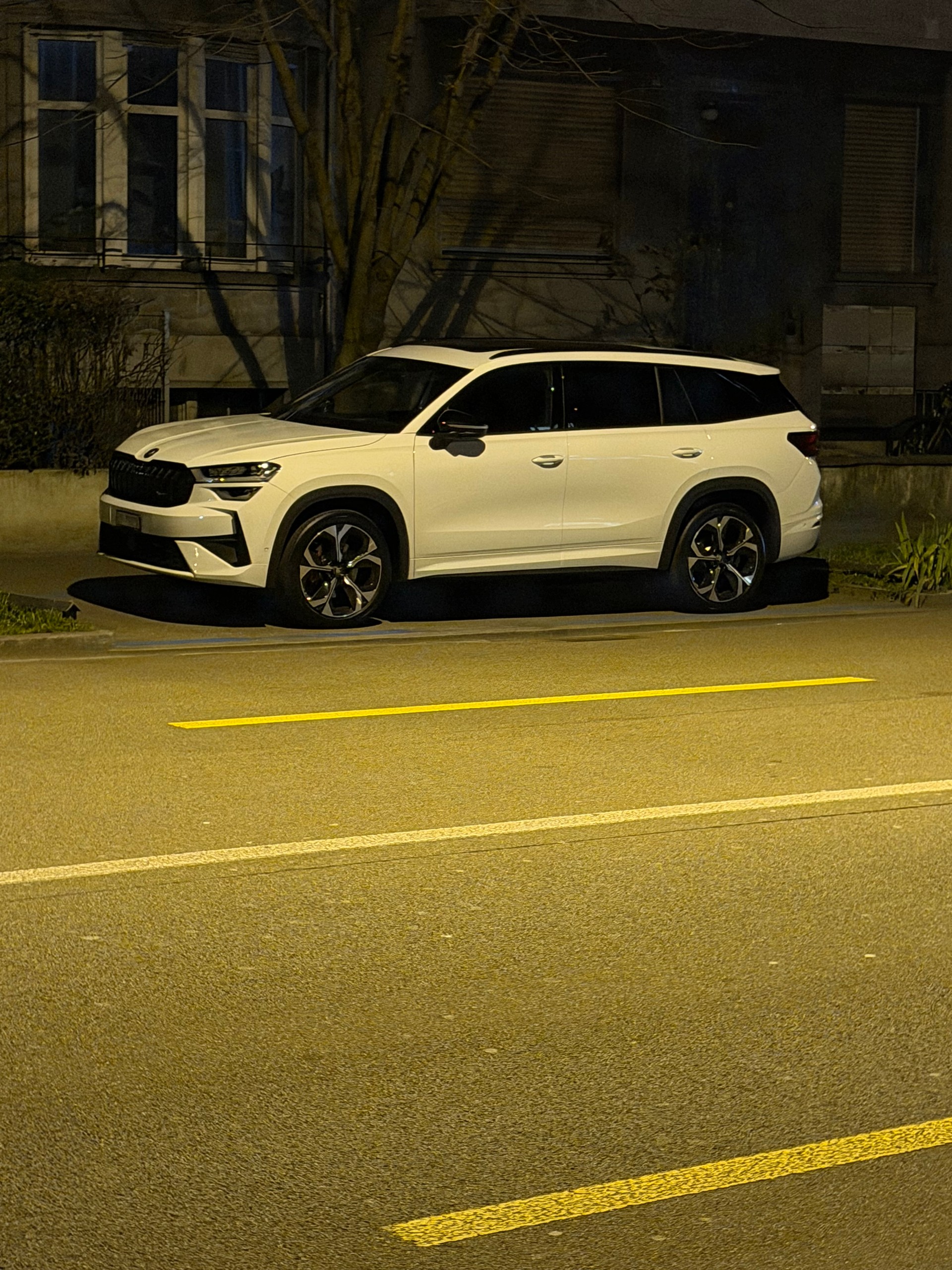 SKODA 2.0 TSI RS-image-0