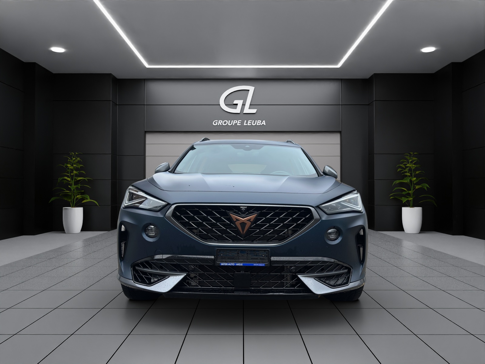 Image CUPRA FORMENTOR Formentor2.0TSI Tribe 4D