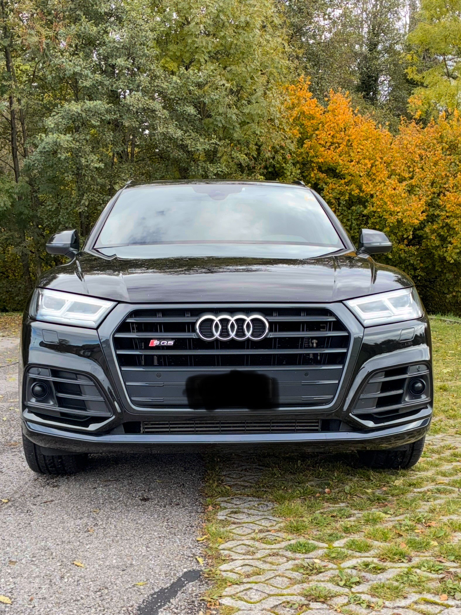 AUDI SQ5 3.0 TFSI quattro S-tronic