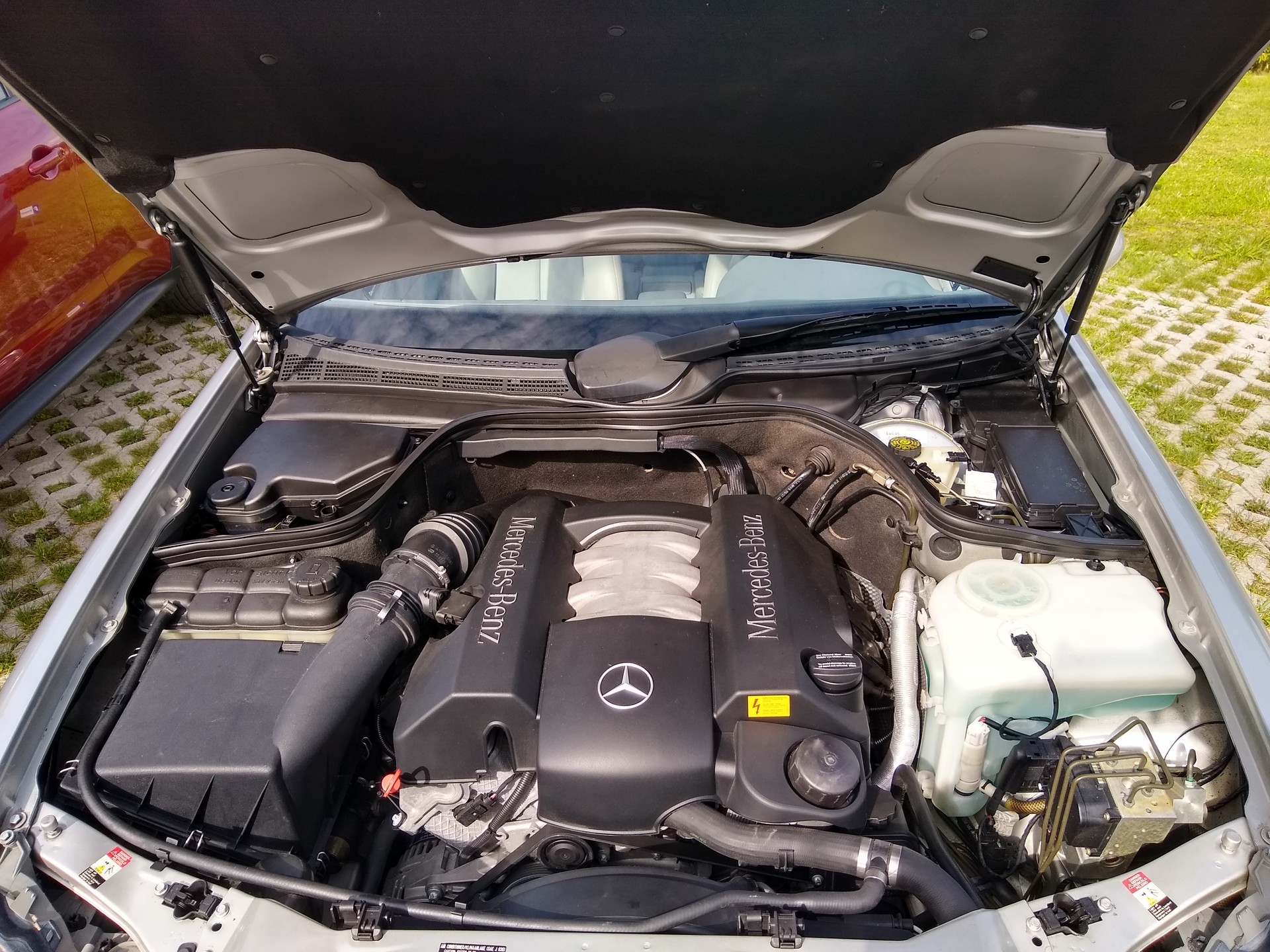 MERCEDES-BENZ CLK 320 Elégance Automatic-image-9