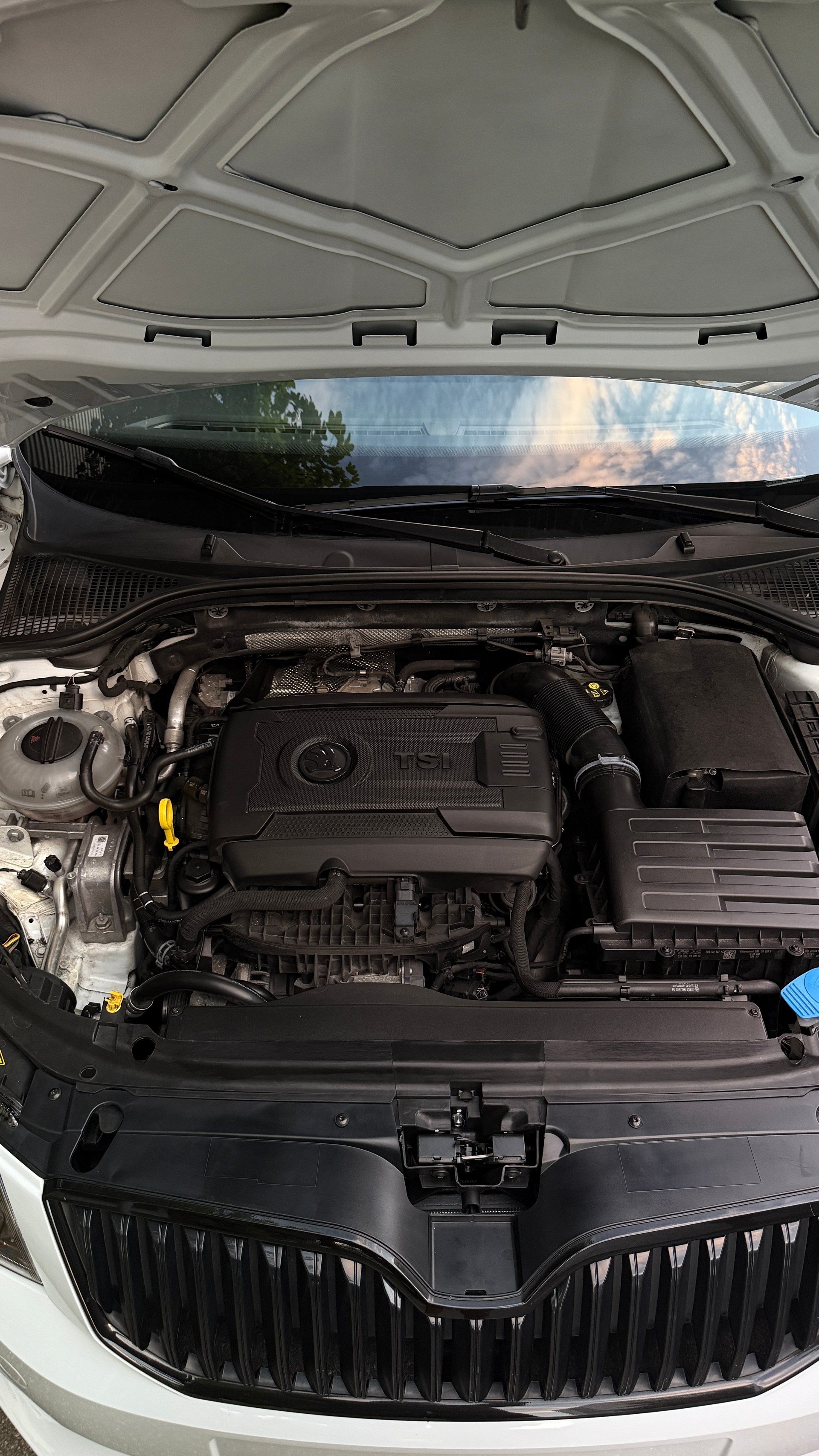 SKODA 2.0 TSI RS DSG-image-8