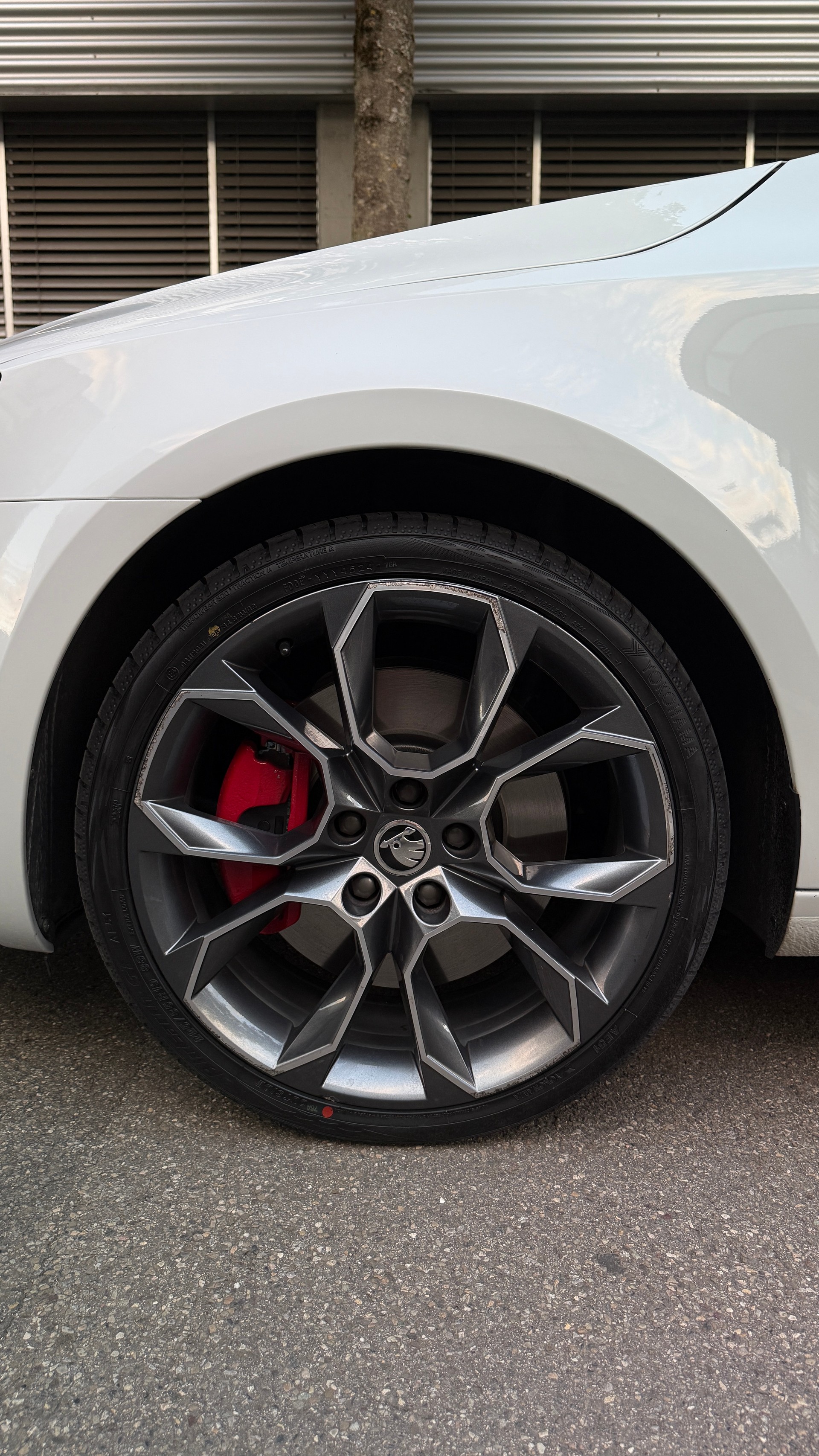 SKODA 2.0 TSI RS DSG-image-2