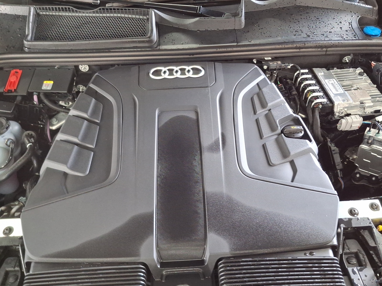AUDI Q8 SUV 50 TDI quattro tiptronic-image-15